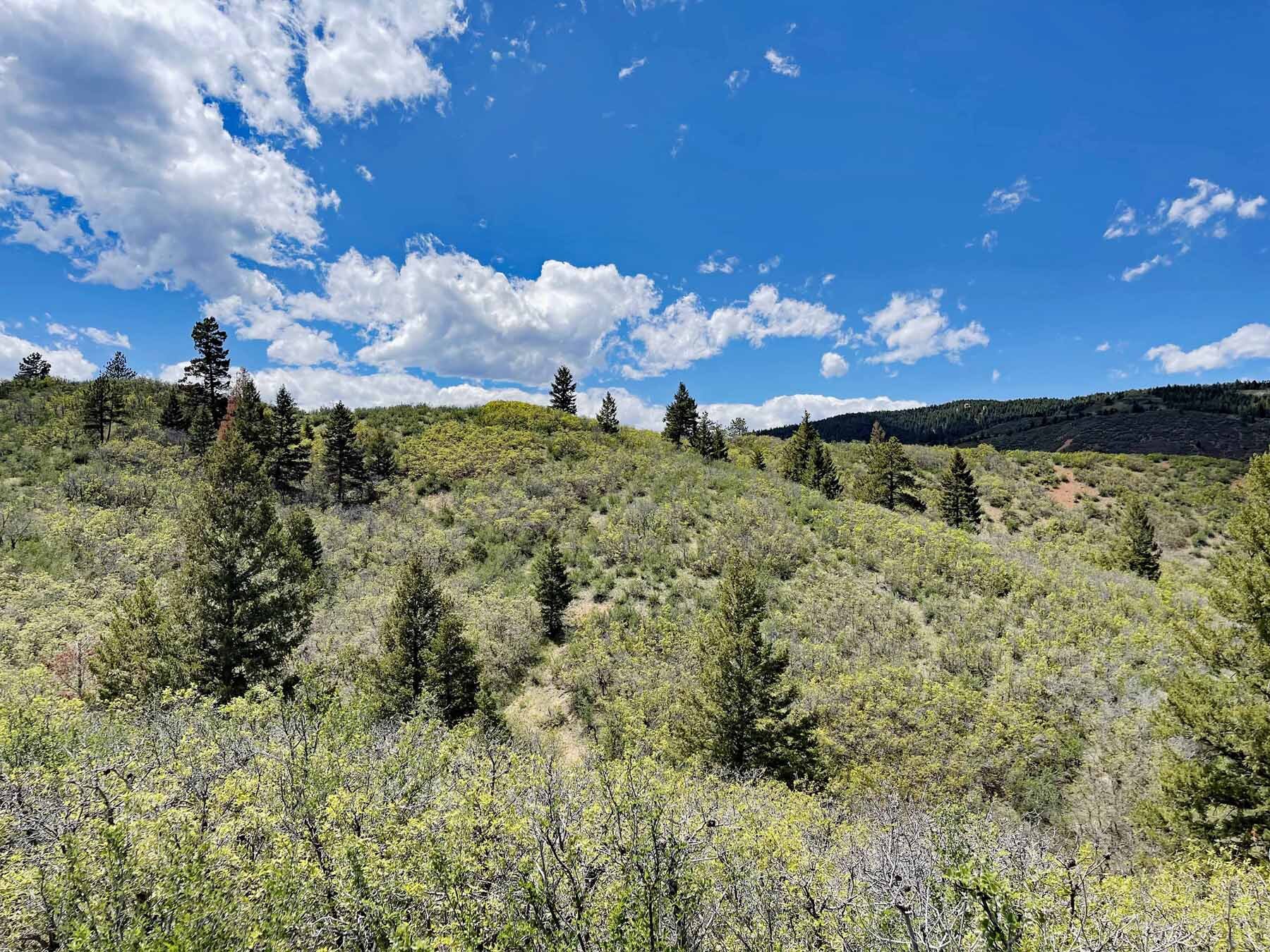 12 Land For Sale Sedalia Colorado Jackson Creek Douglas County.jpg