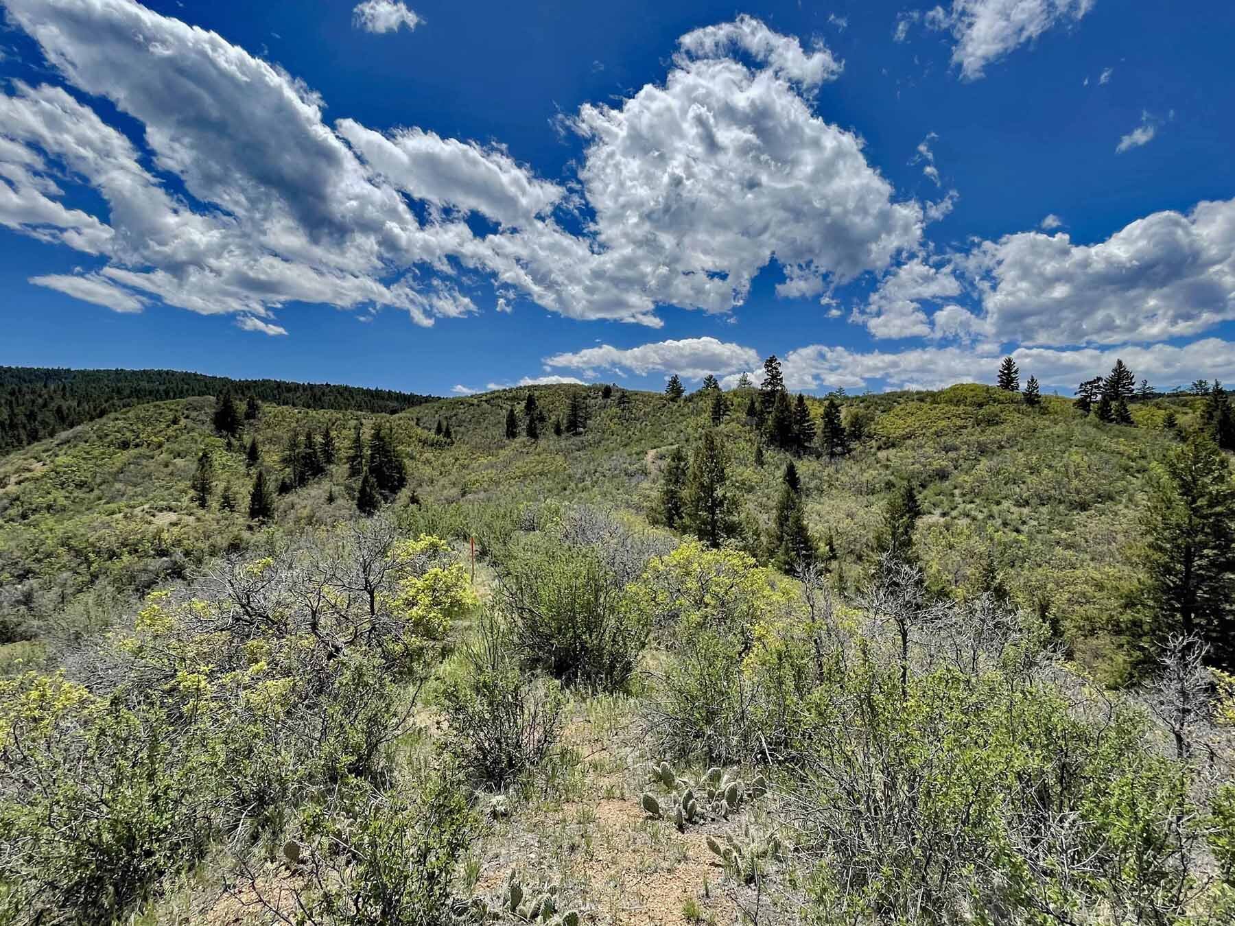 13 Land For Sale Sedalia Colorado Jackson Creek Douglas County.jpg