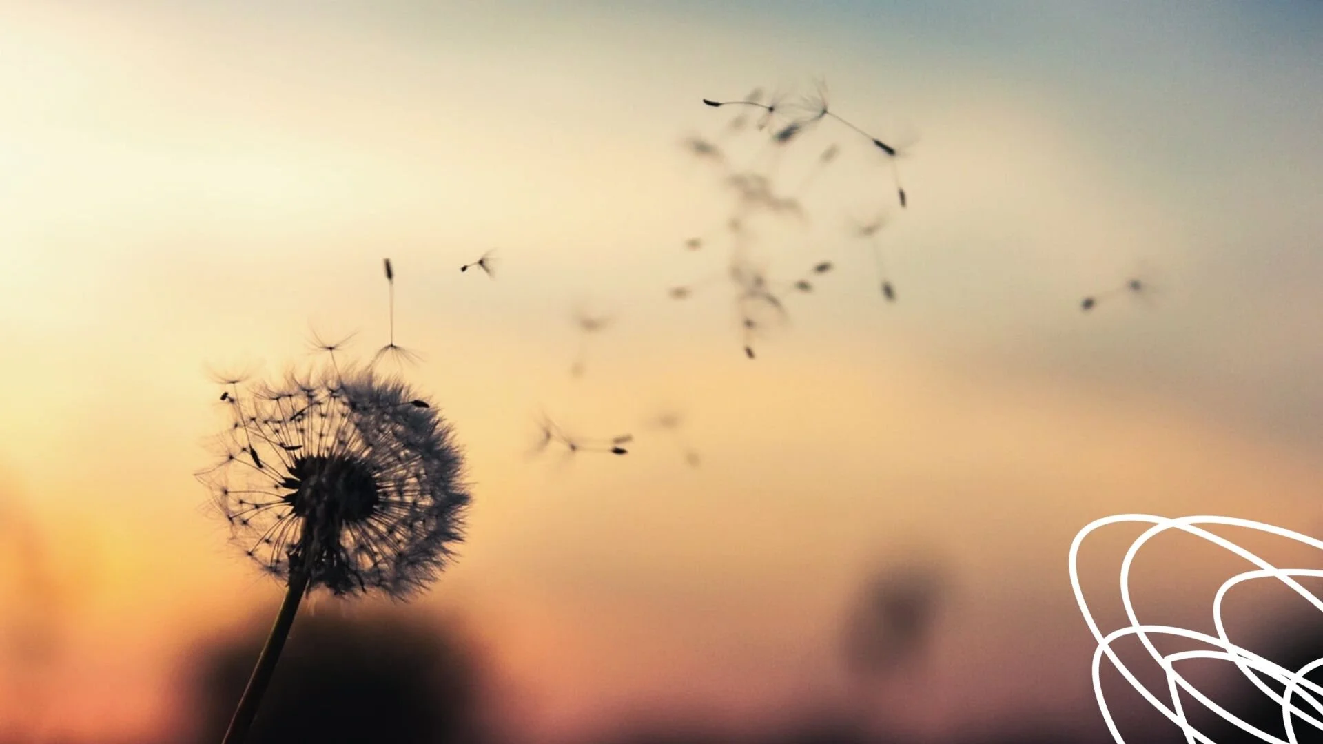 A One-Time Gift for All Time.jpg