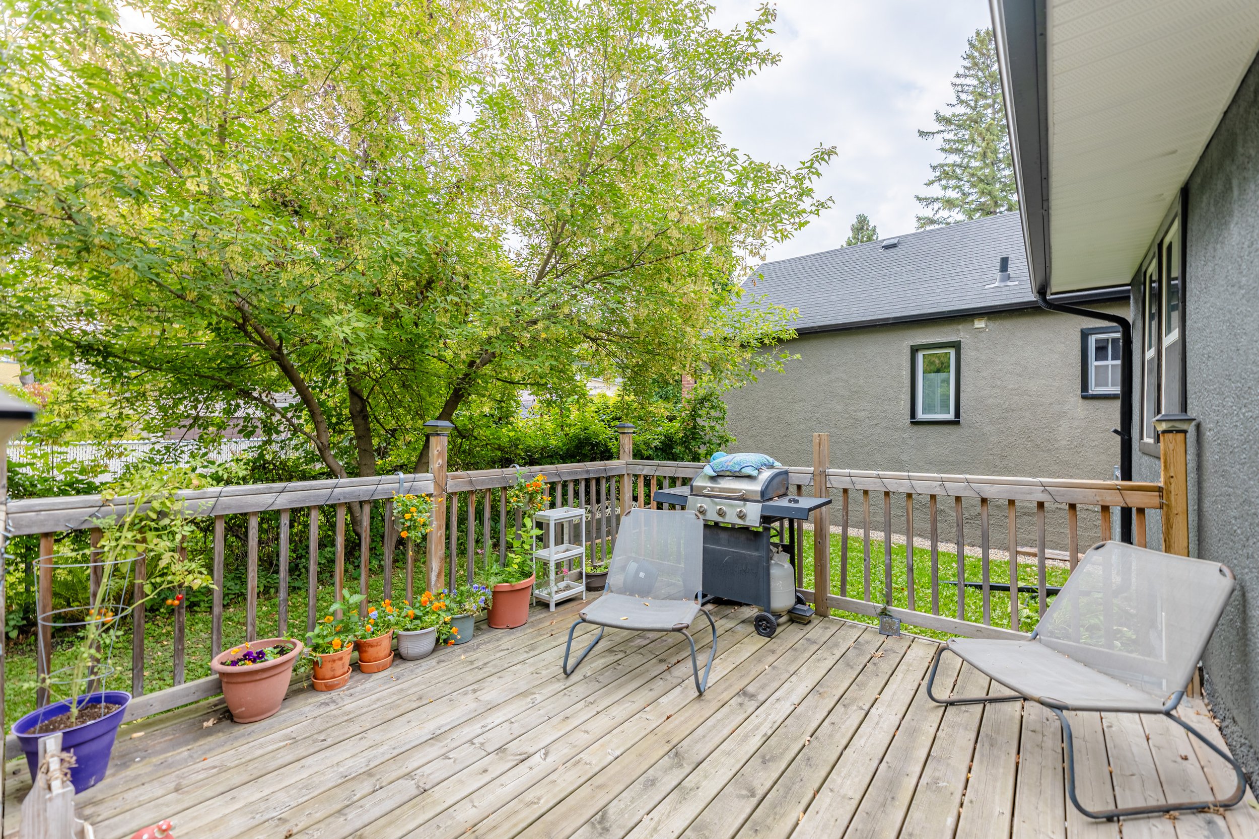174 Borebank St (32).jpg