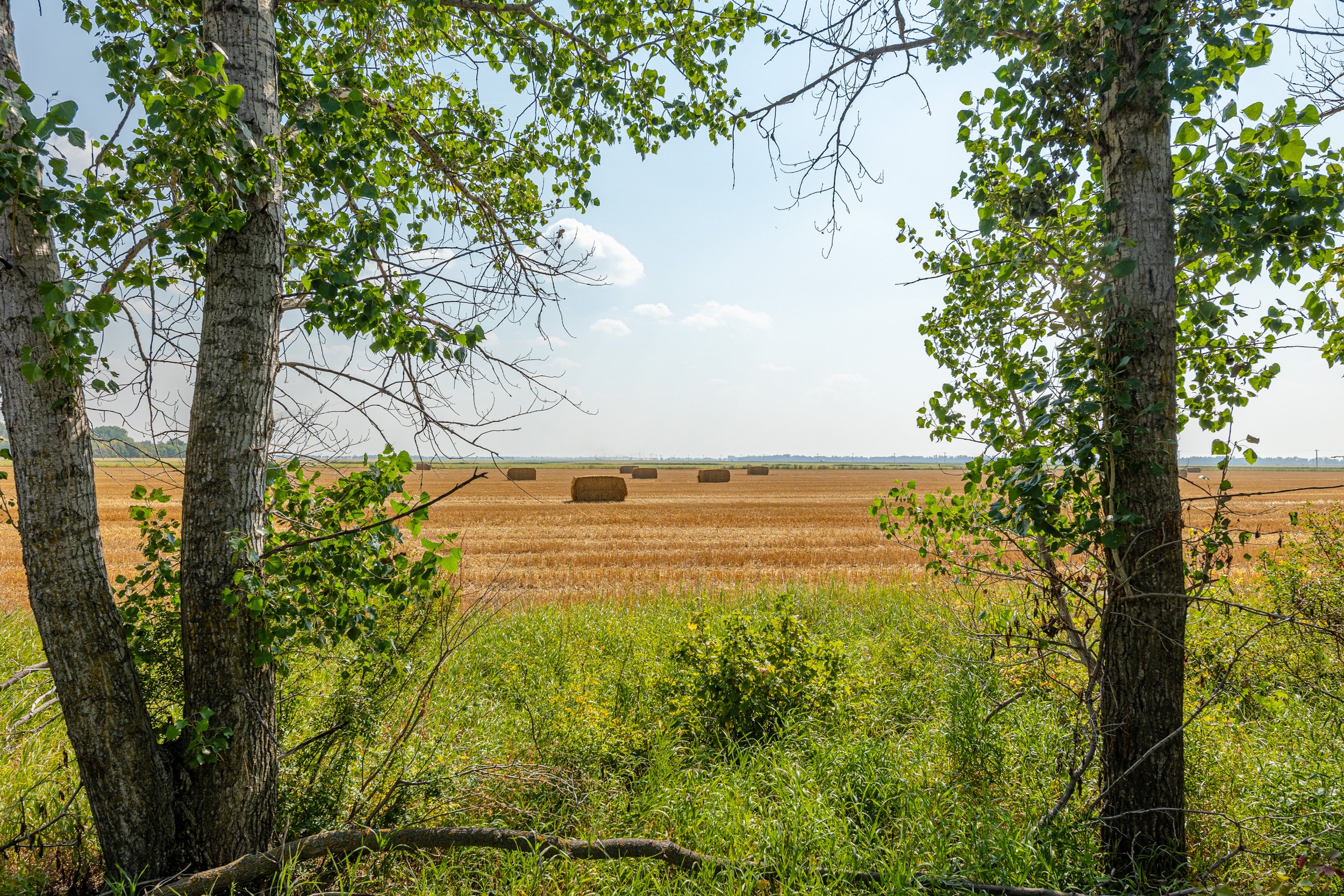 25 Mill creek Rd (25).jpg