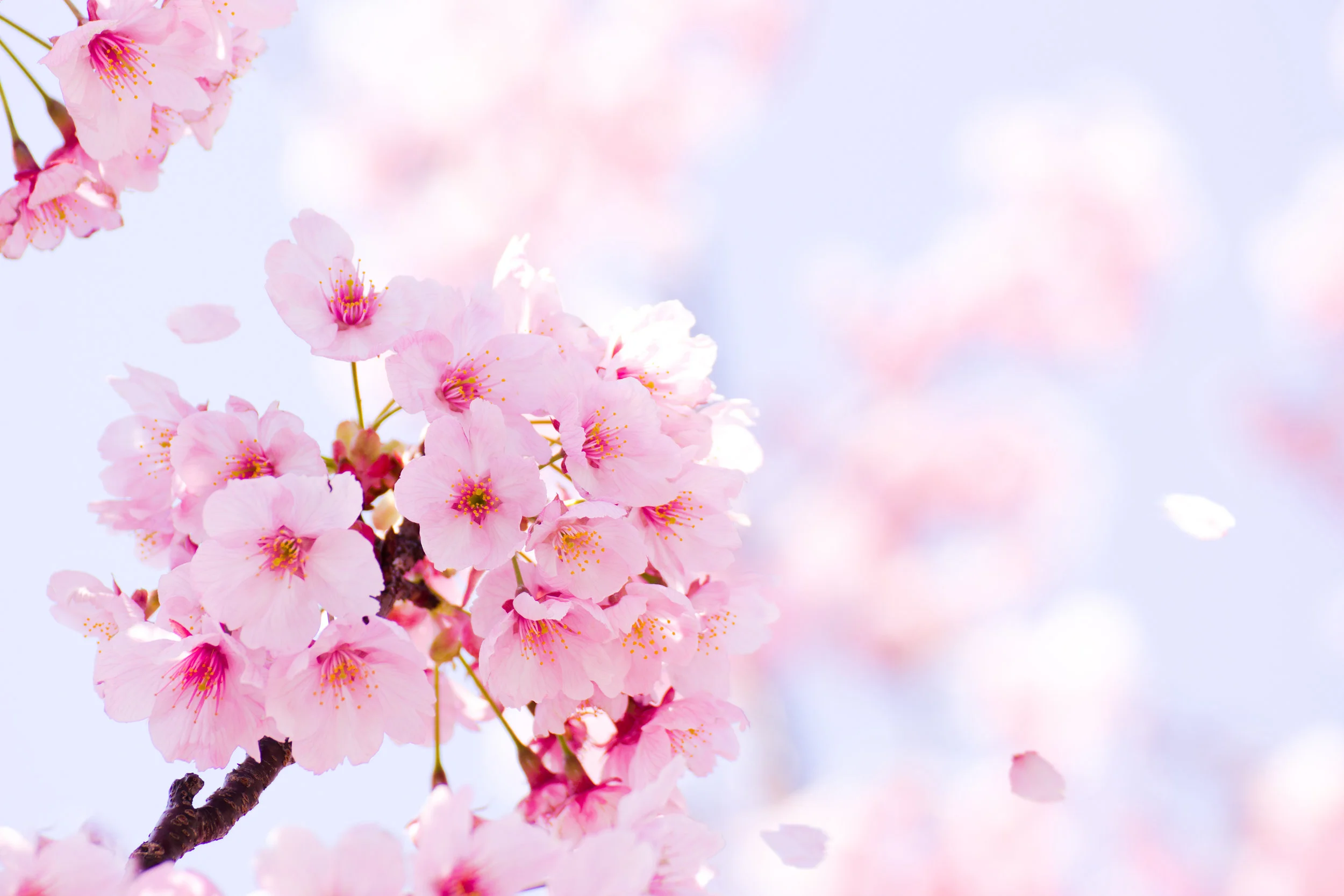 AdobeStock_40548431.jpeg
