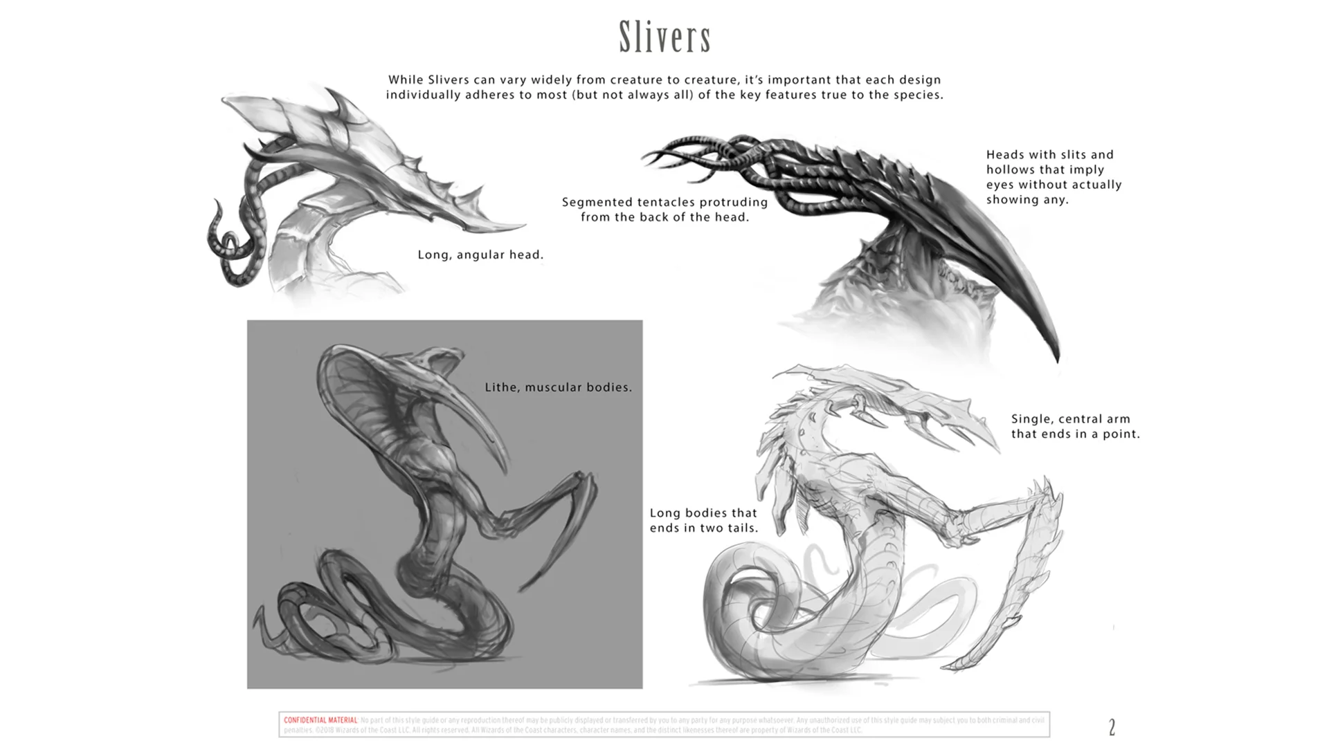 Sliver anatomical traits - Concept by Sam Burley