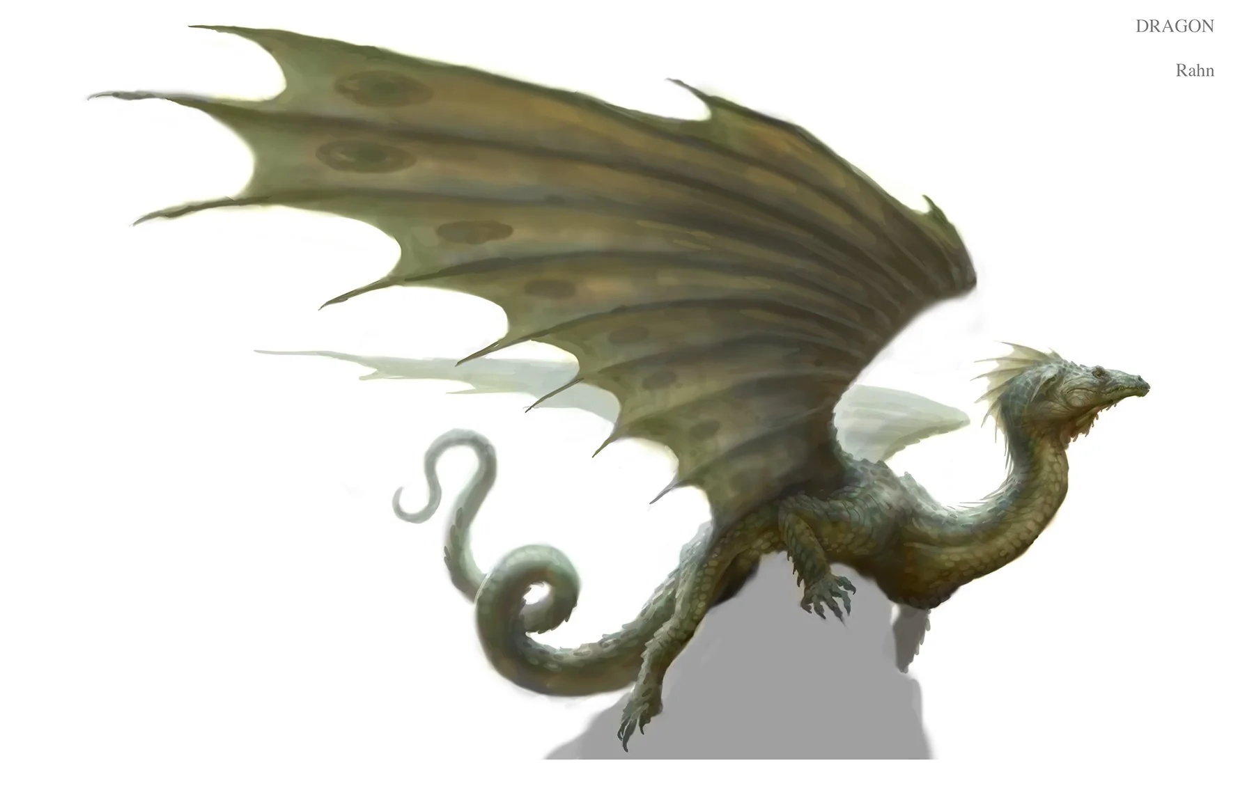 Eldraine Dragon - Concept by Chris Rahn