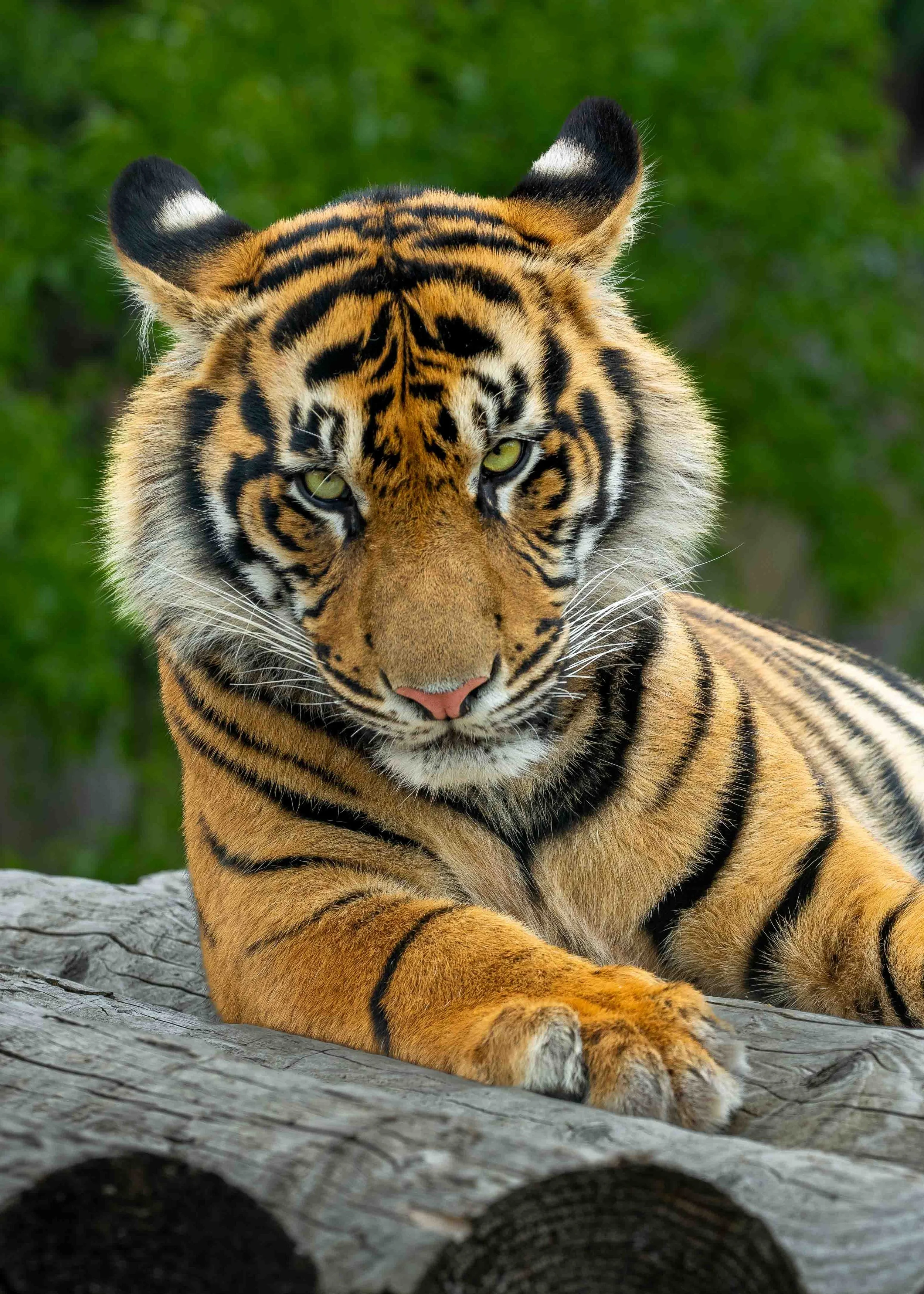2023.06.27 ZSL 109-WebRes.jpg