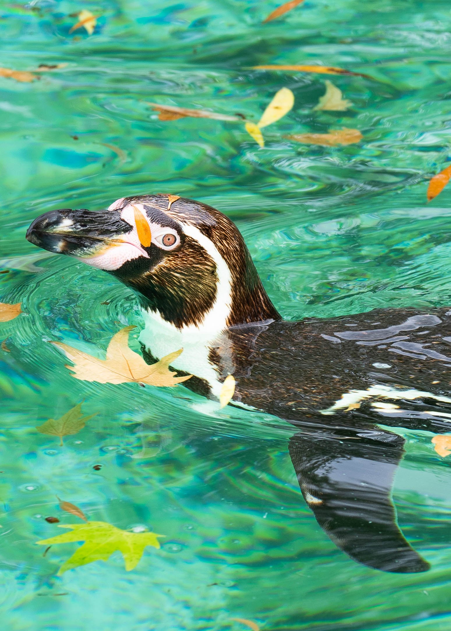 2023.06.27 ZSL 12-WebRes.jpg