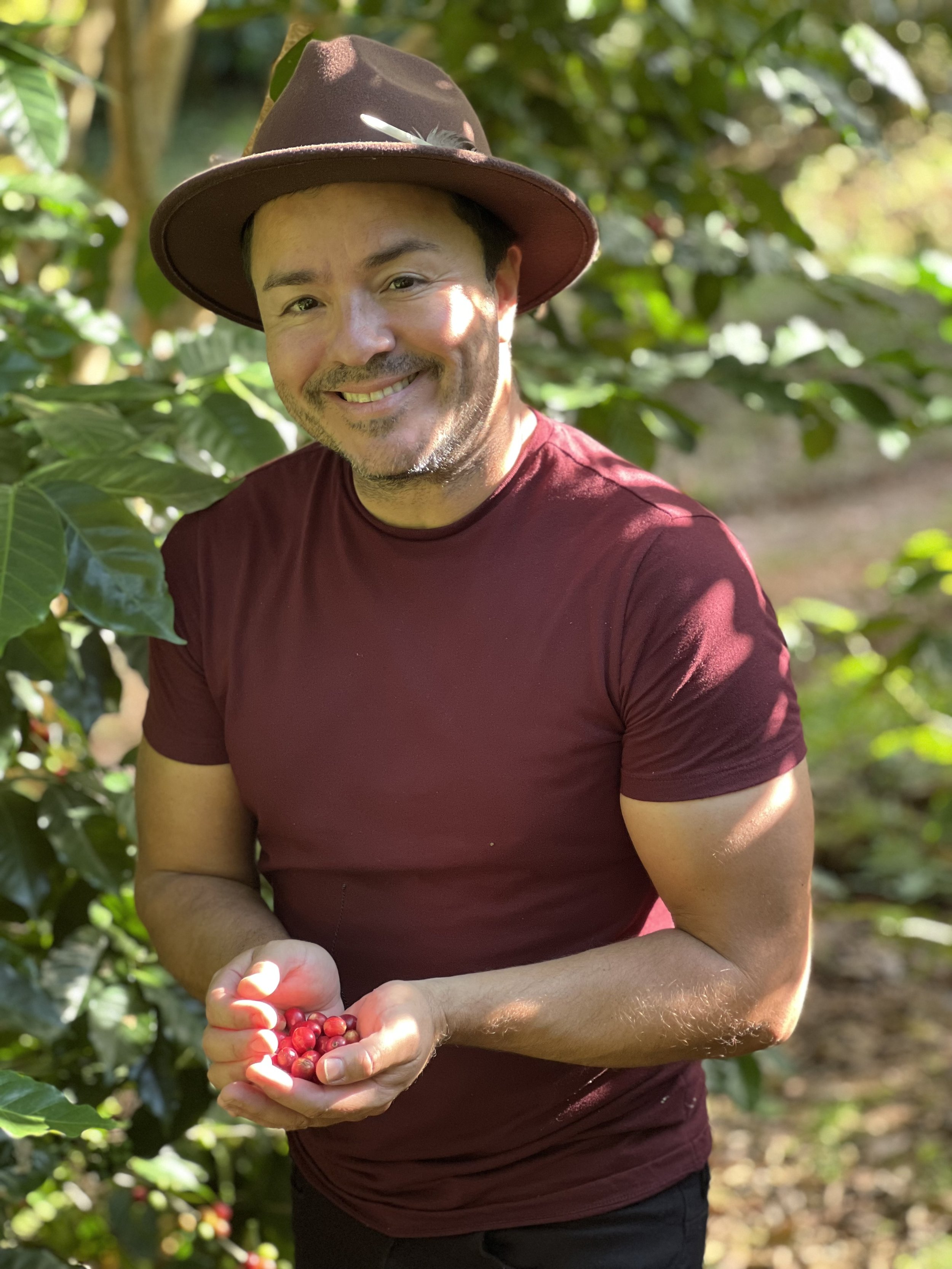  Sam sepulveda at hacienda iluminada picking red coffee cherries 