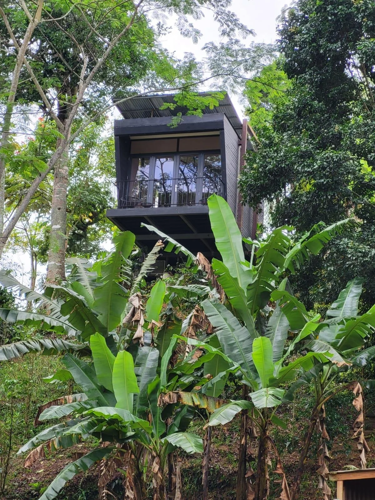 WhatsApp Image 2024-04-02 at 20.34.00_9ab8e9f3.jpg