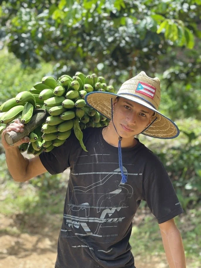 hacienda iluminada ganadero .jpg