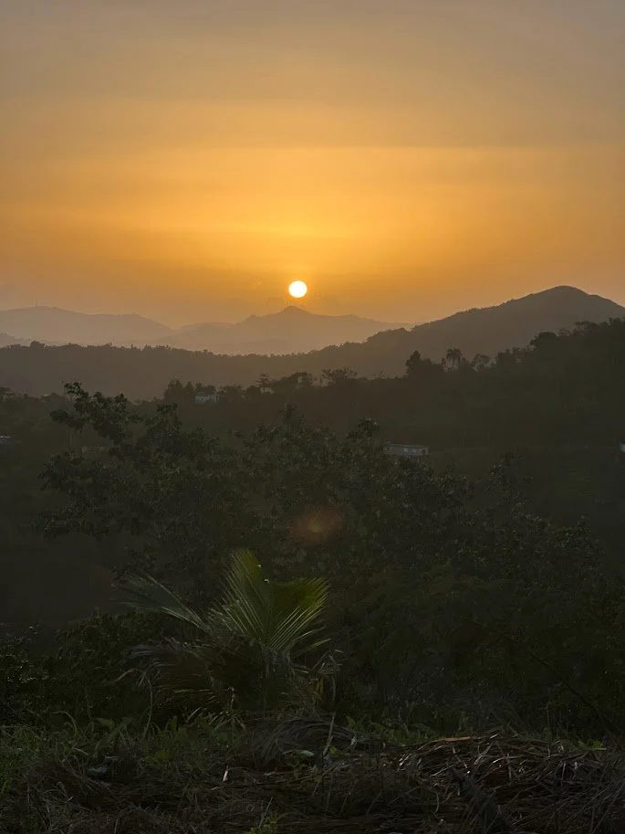 HI view.jpg