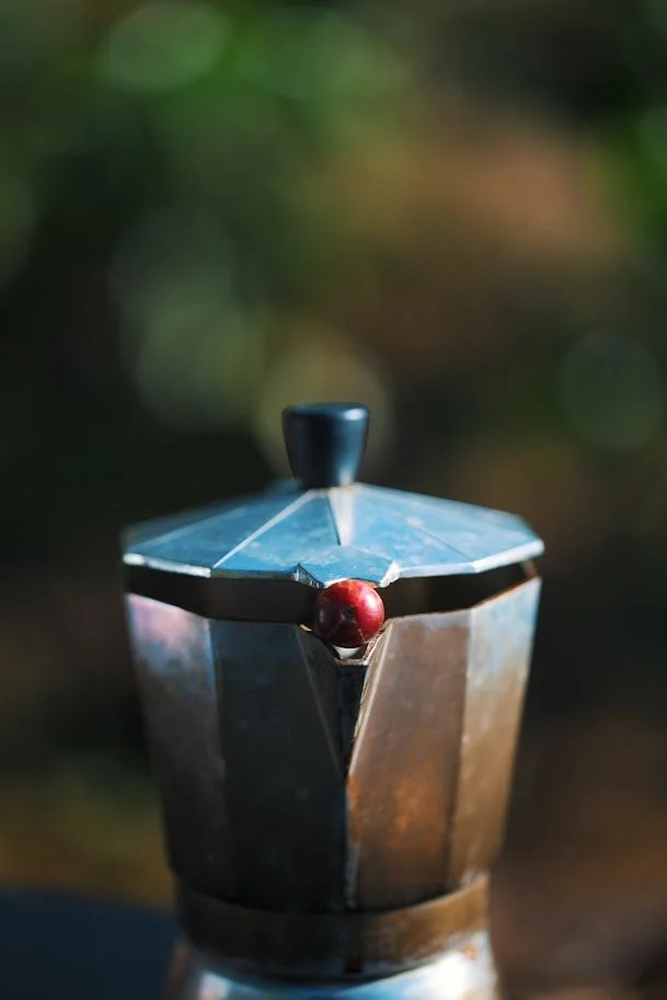 Puerto Rican Coffee story.jpg