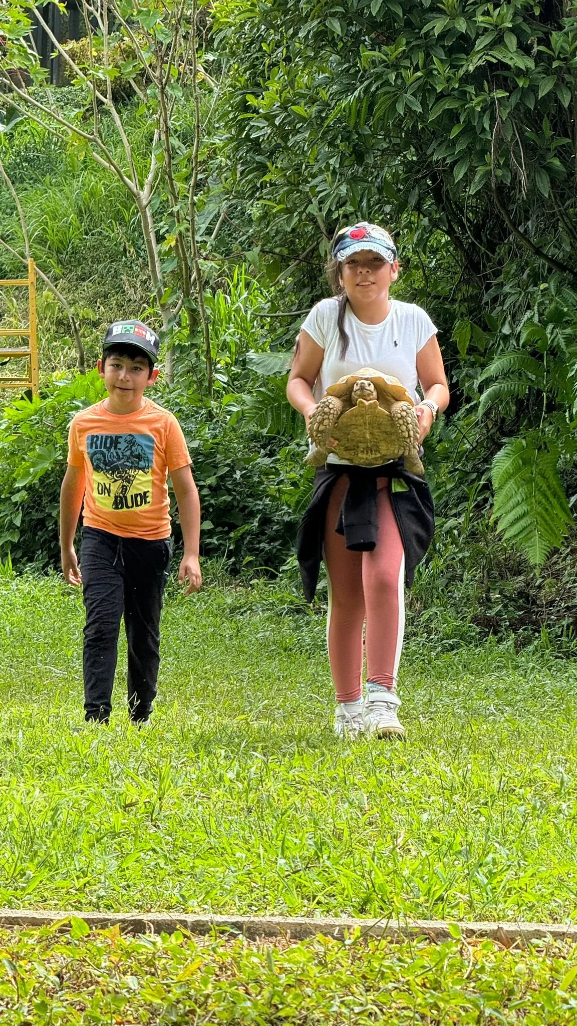 cofffe tours perfect for kids.jpeg