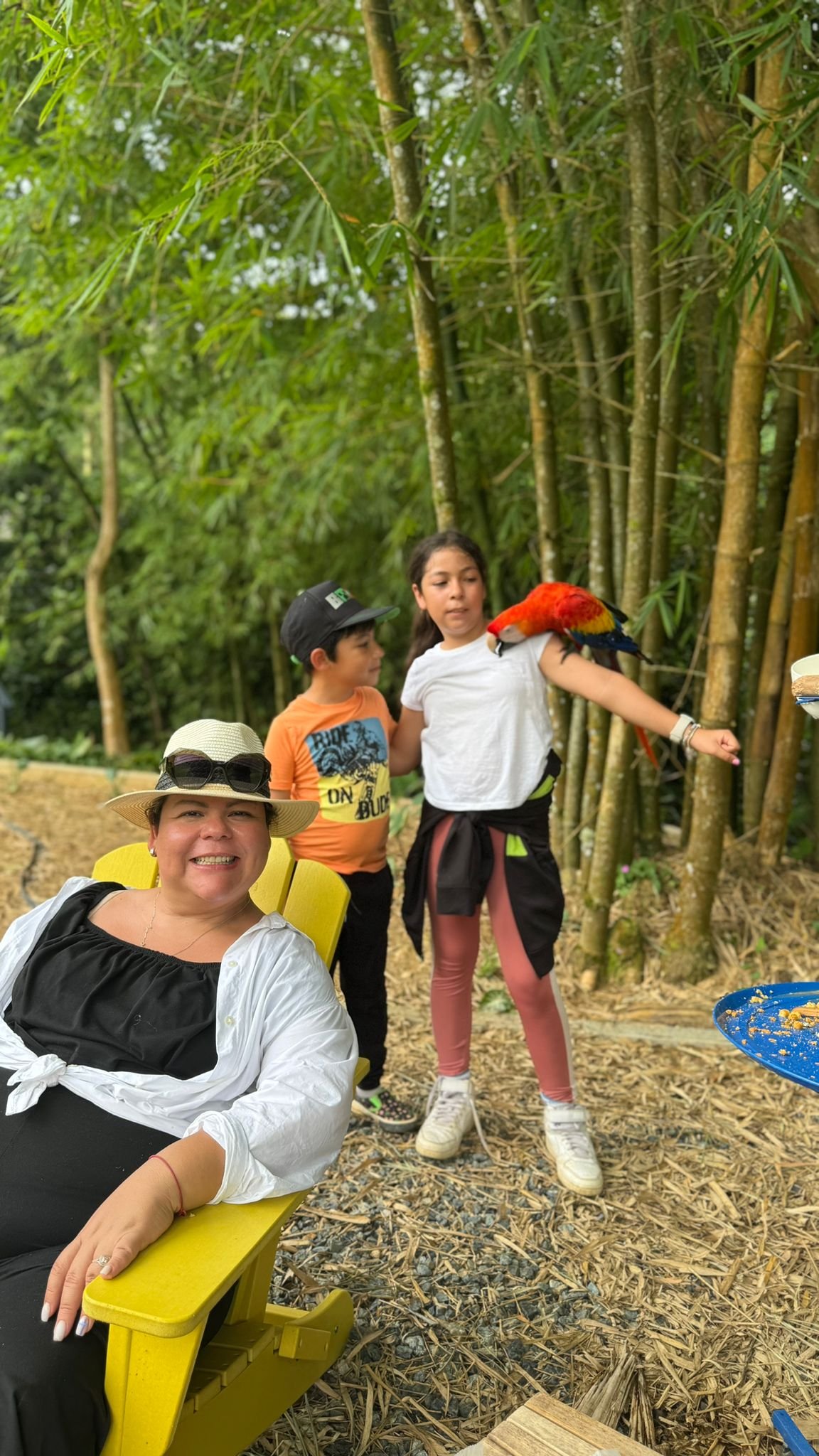 WhatsApp Image 2024-07-06 at 13.11.09.jpeg