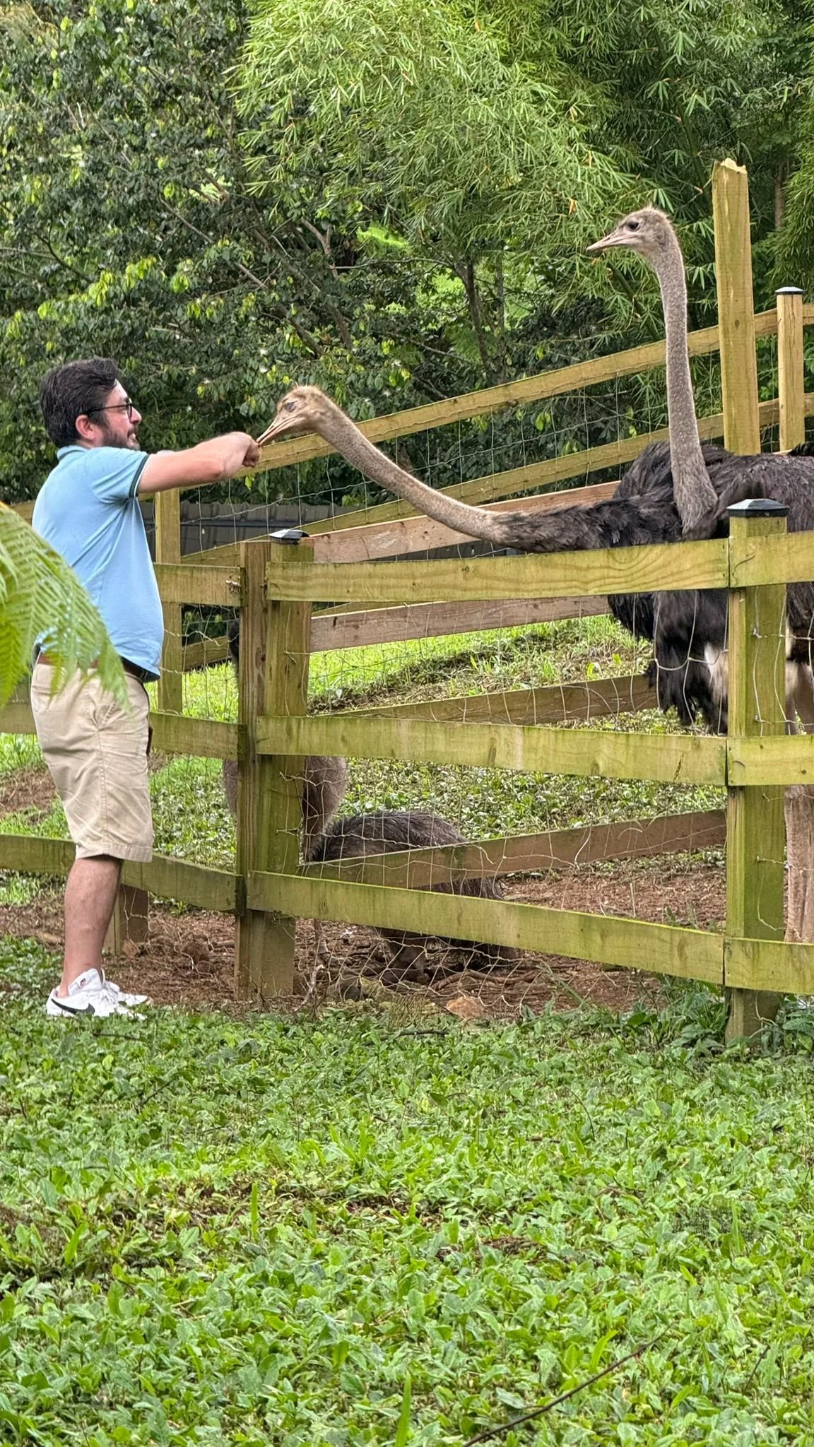 WhatsApp Image 2024-07-06 at 13.14.15.jpeg