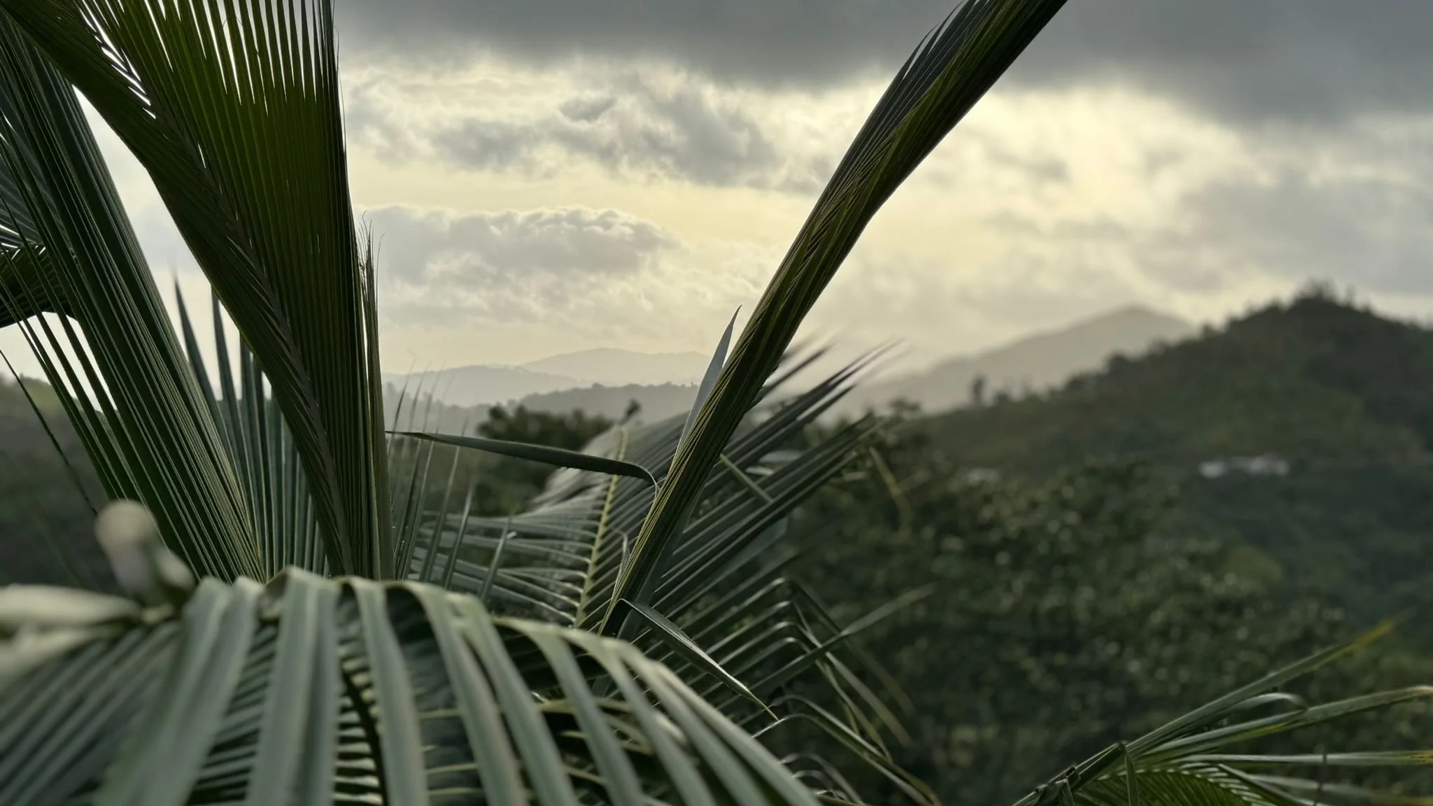 WhatsApp Image 2024-06-07 at 15.44.48.jpeg