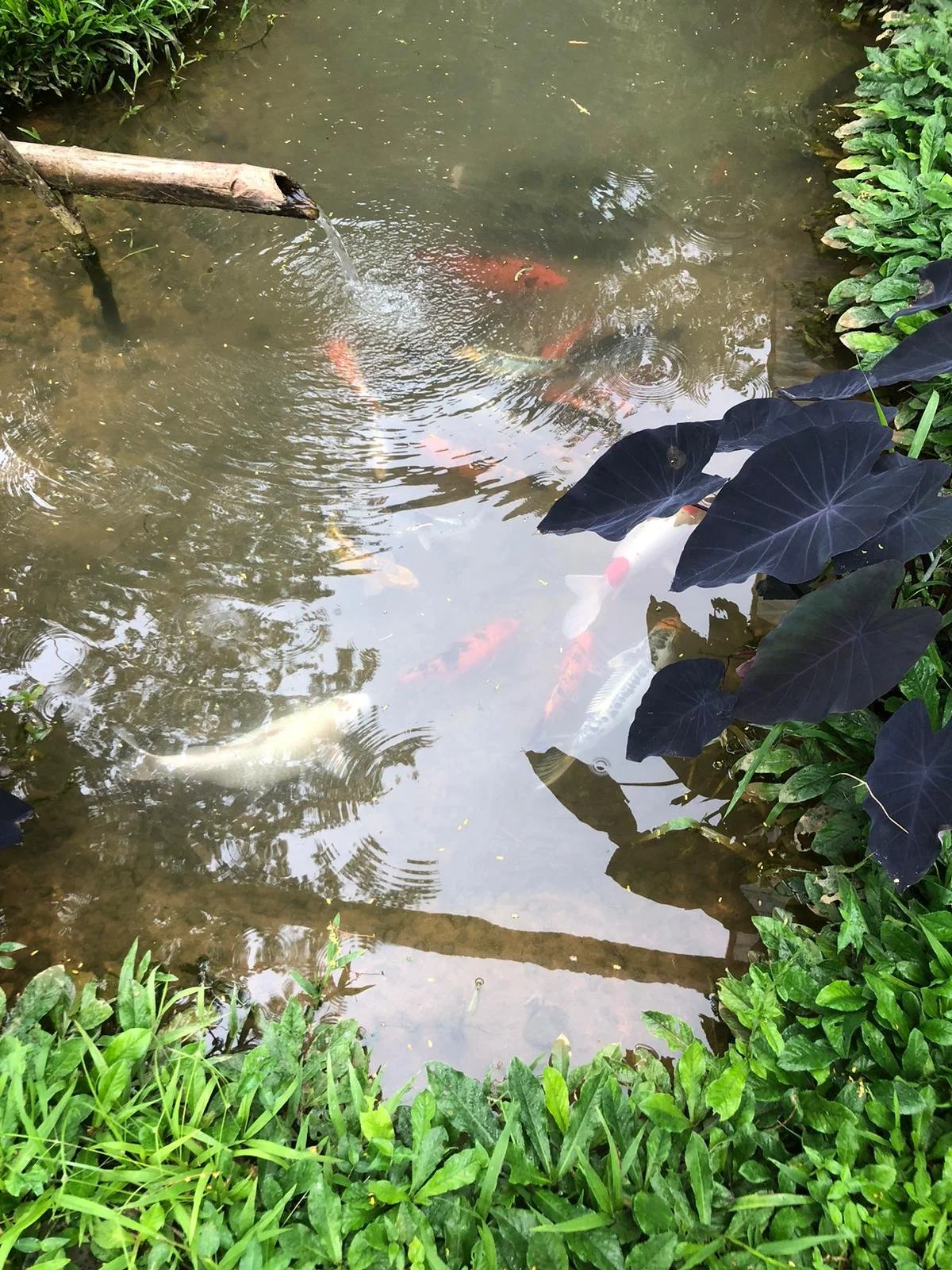 WhatsApp Image 2024-06-15 at 15.21.05.jpeg