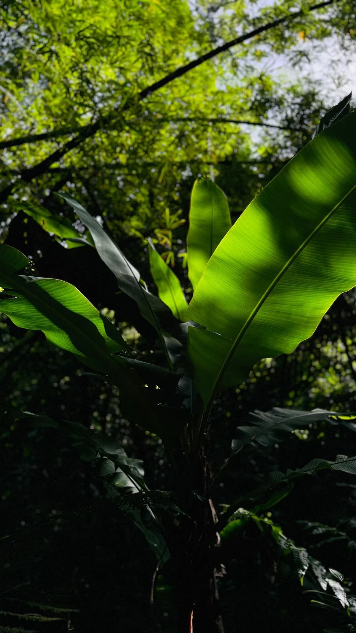 WhatsApp Image 2024-08-31 at 12.32.29.jpeg