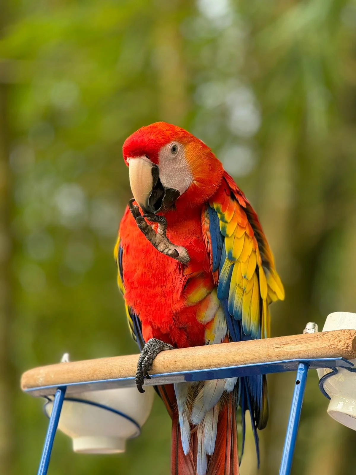 WhatsApp Image 2024-07-06 at 13.18.43.jpeg