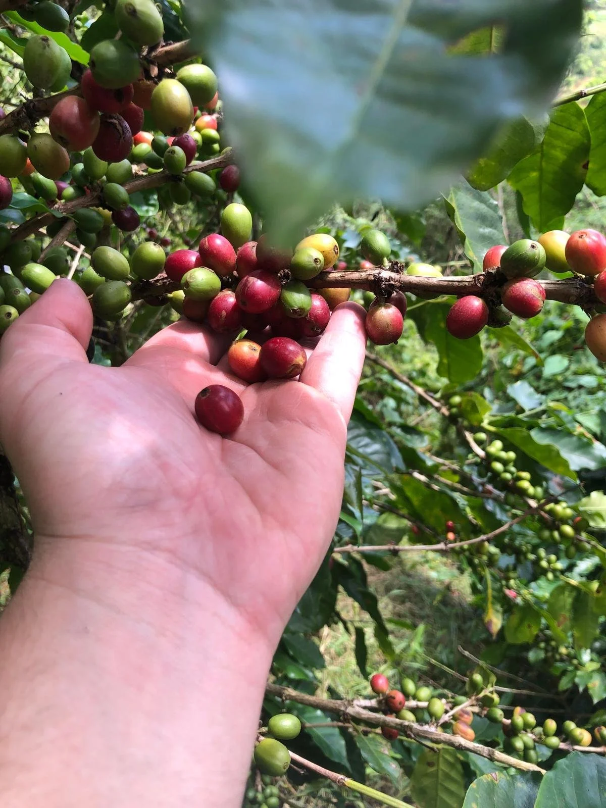 9ff60d31-7350-49ab-bf28-3e91a66a3b4c 2.JPG