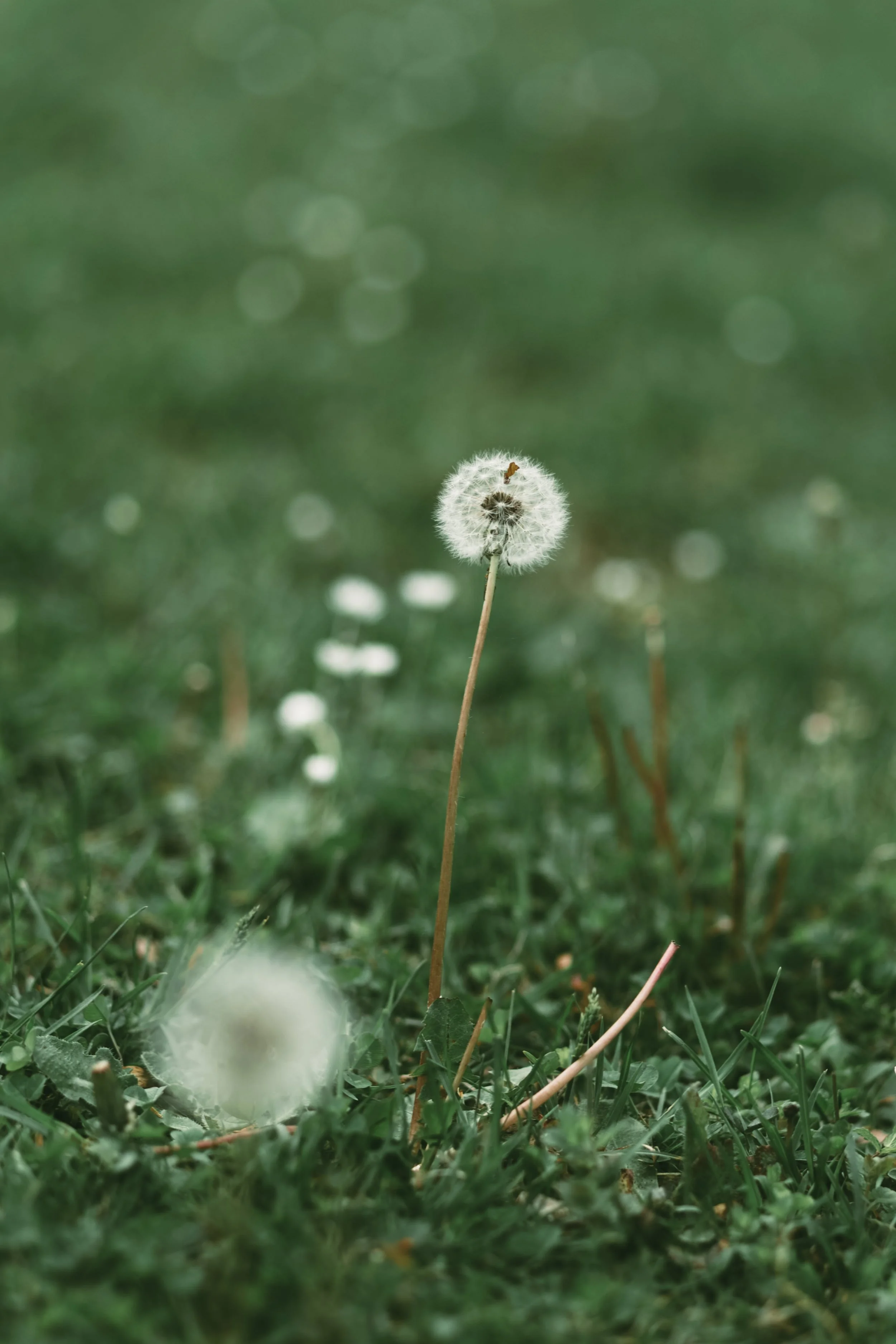 hochzeitsfotografie-nuernberg-bootshaus (2).jpg