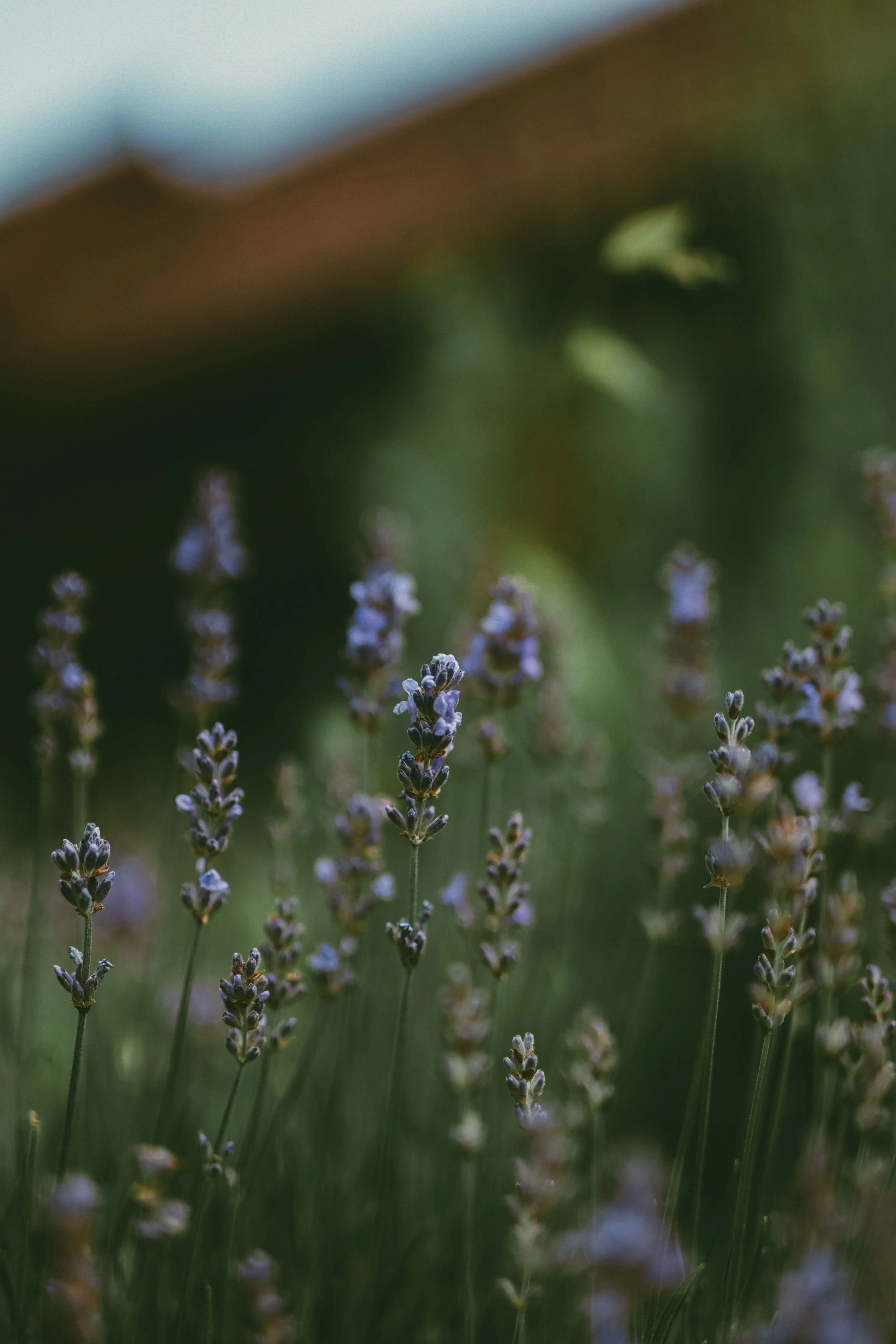 wedding-photography-nuremberg-AL (6).jpg