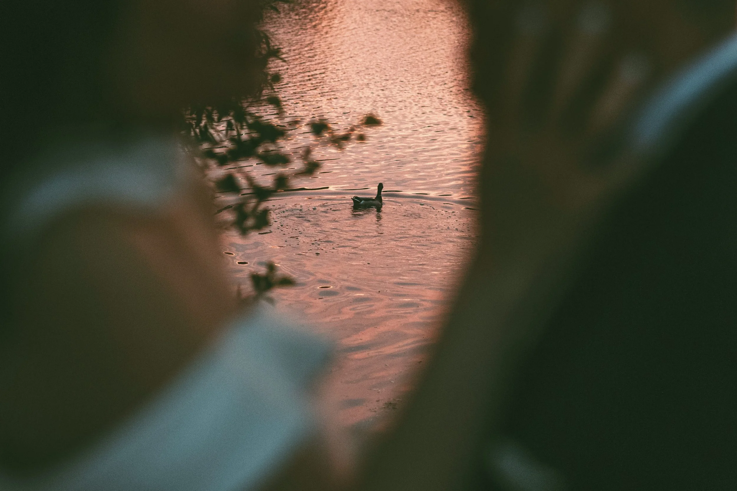 hochzeitsfotografie-nuernberg-bootshaus (321).jpg