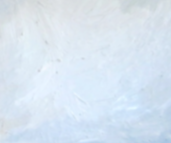 Alois Lichtsteiner IMG_3919.png