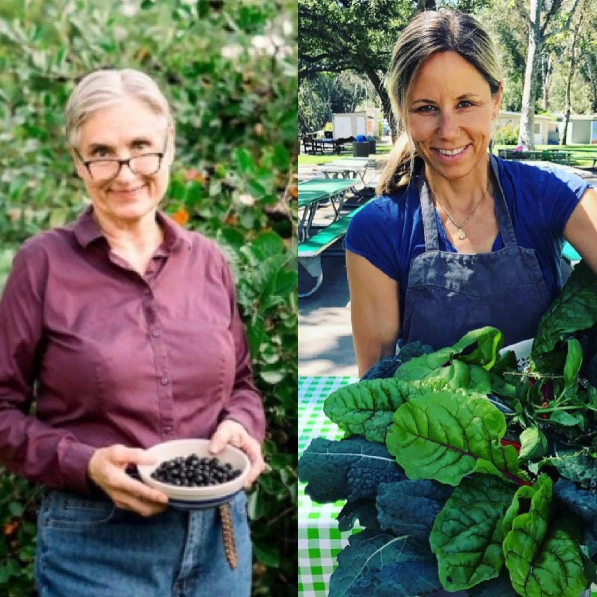 Terry Wahls and Hilary Boynton-The Power of Food as Medicine 