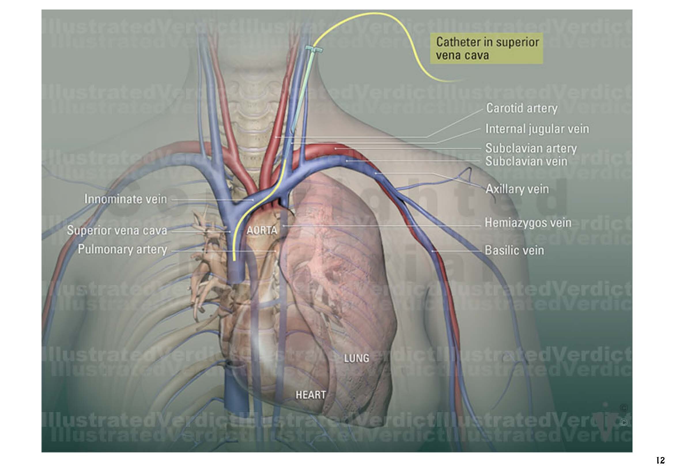 5380SB01_v03_Page_12.jpg