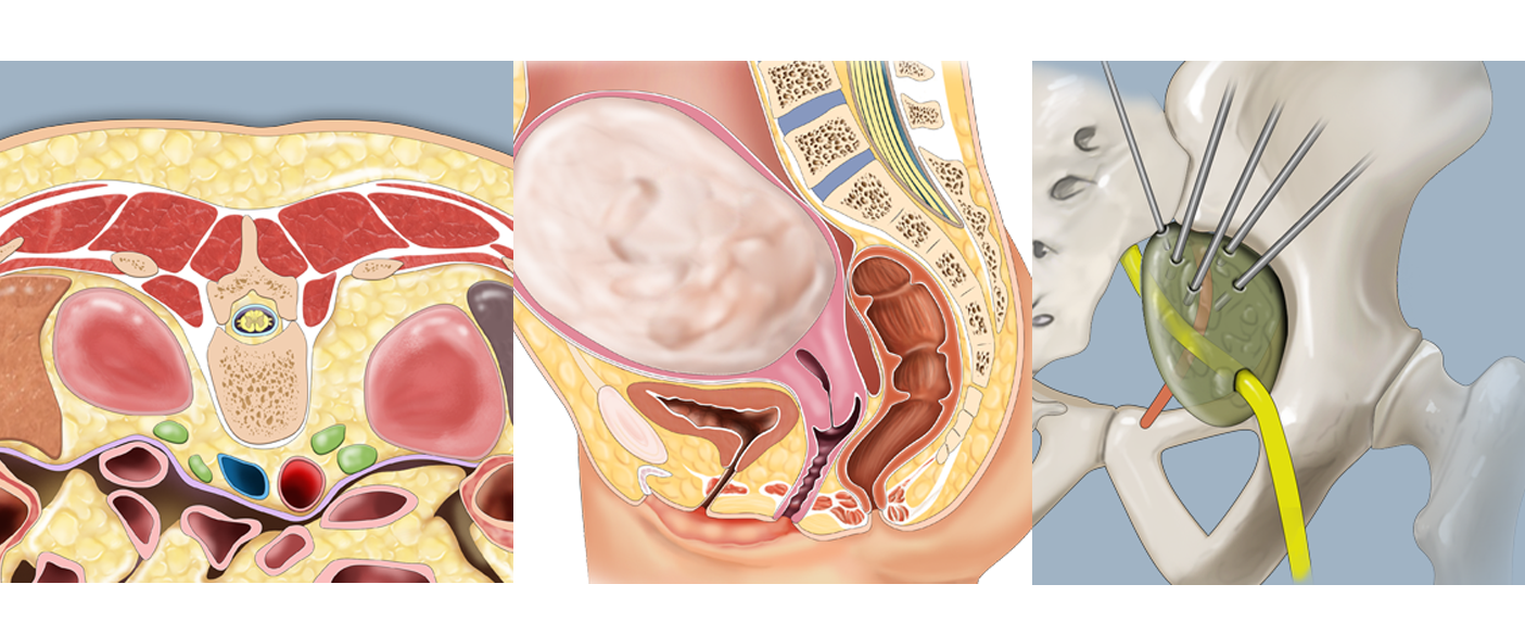 CASE AT A GLANCE - March 2026