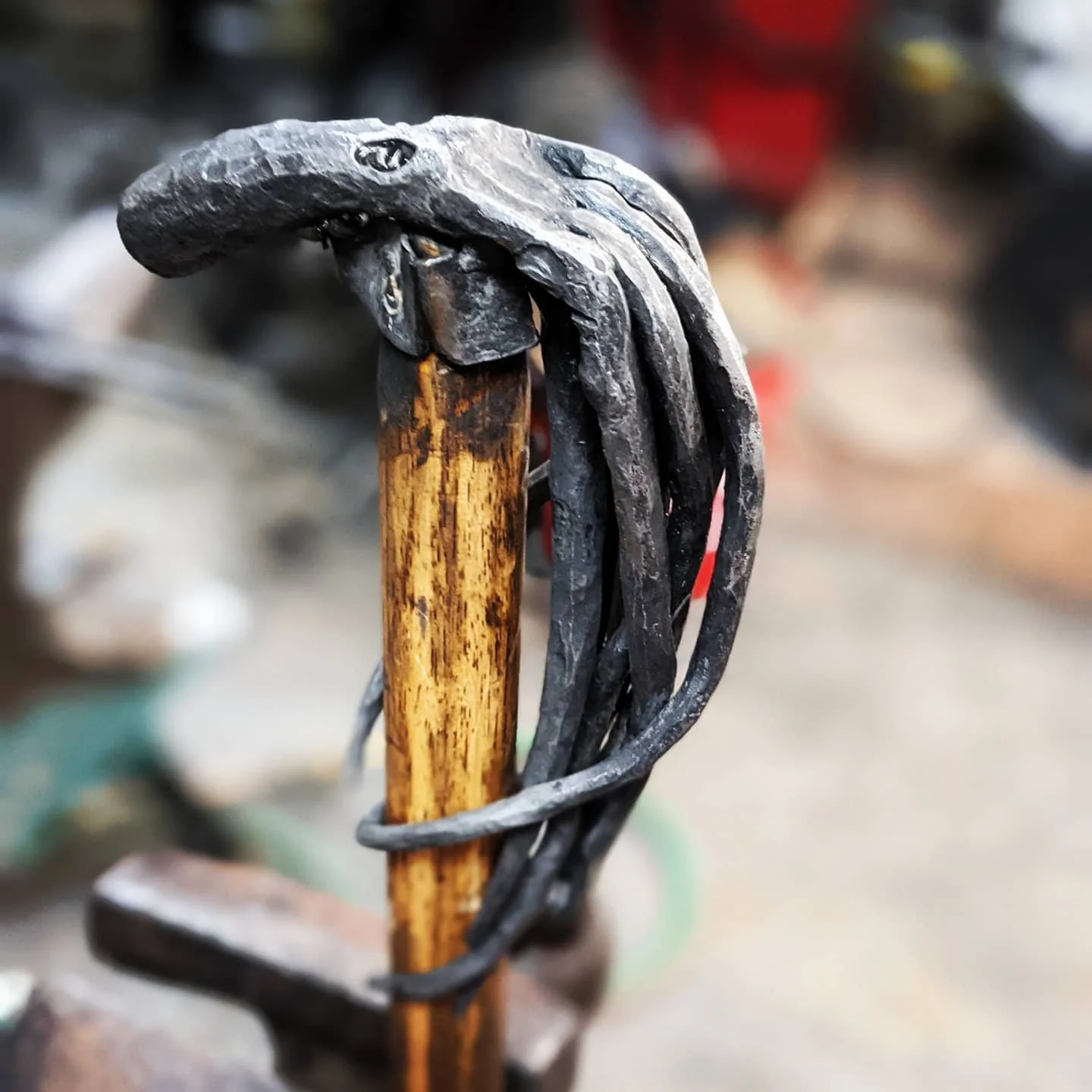 Octopus Walking Stick