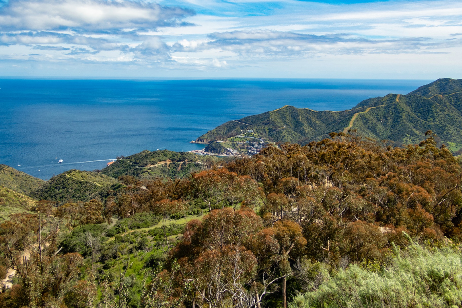 scenicvista.jpg