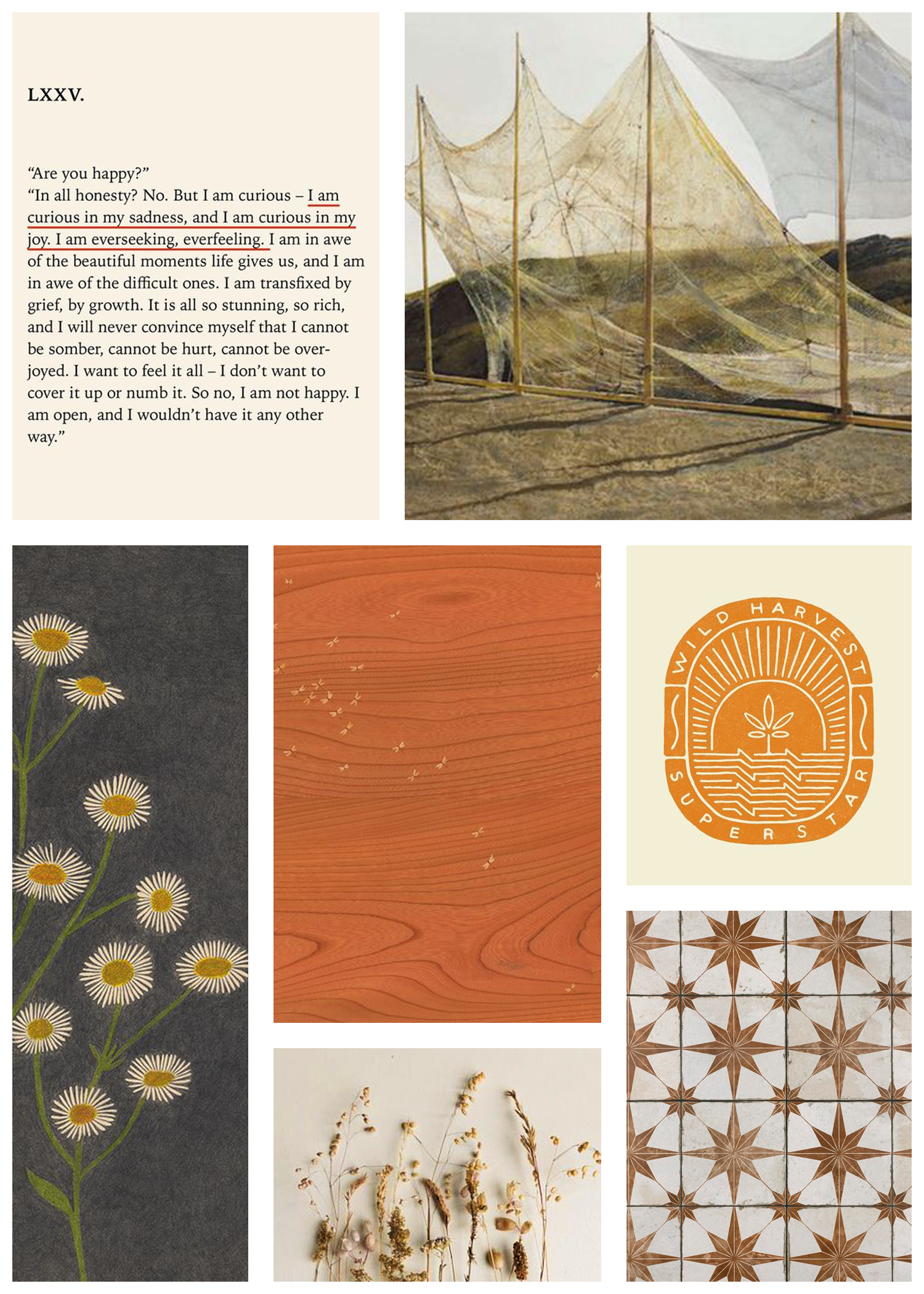 Ash Temin Mood Board