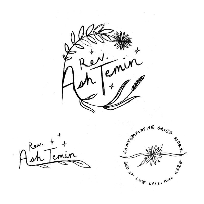 Ash Temin Concept 1.png