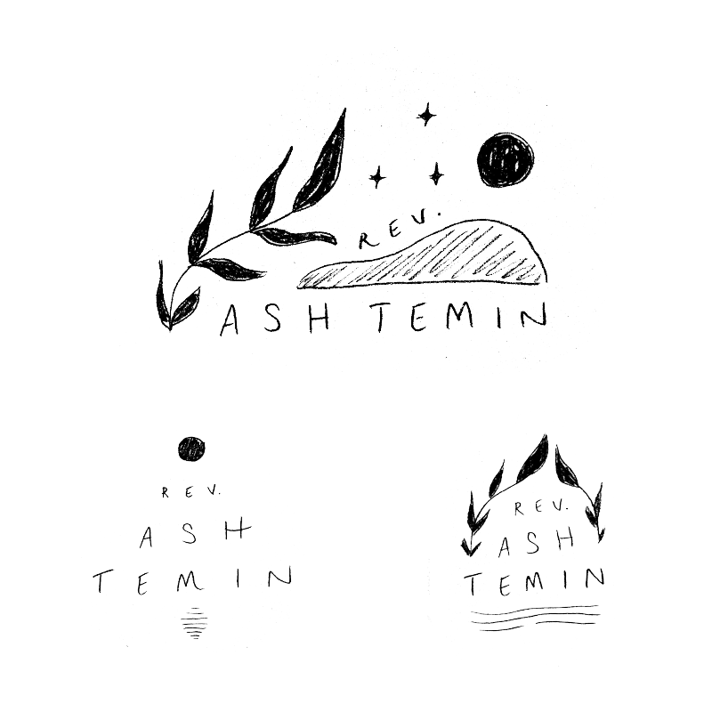 Ash Temin Concept 2.png