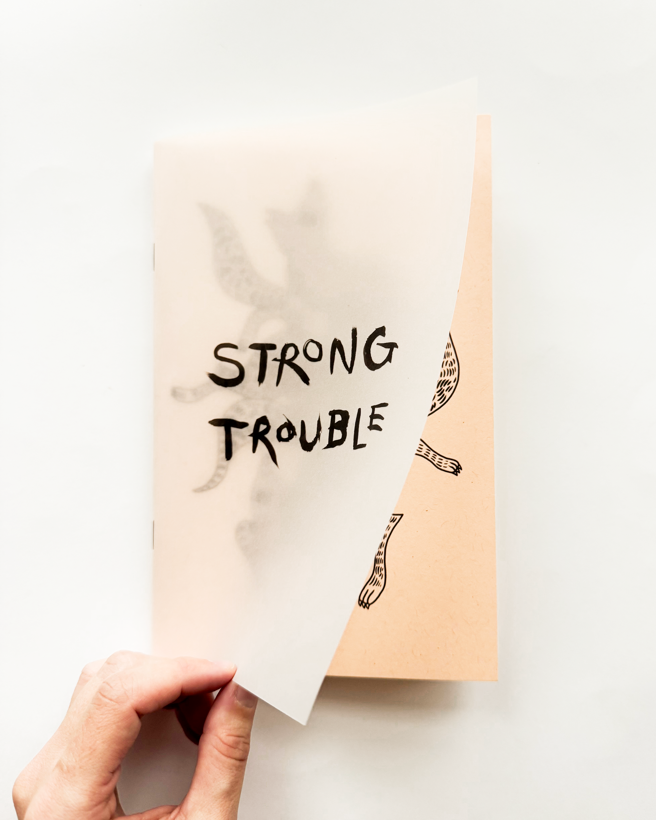 strong trouble zine - em randall - 3.png