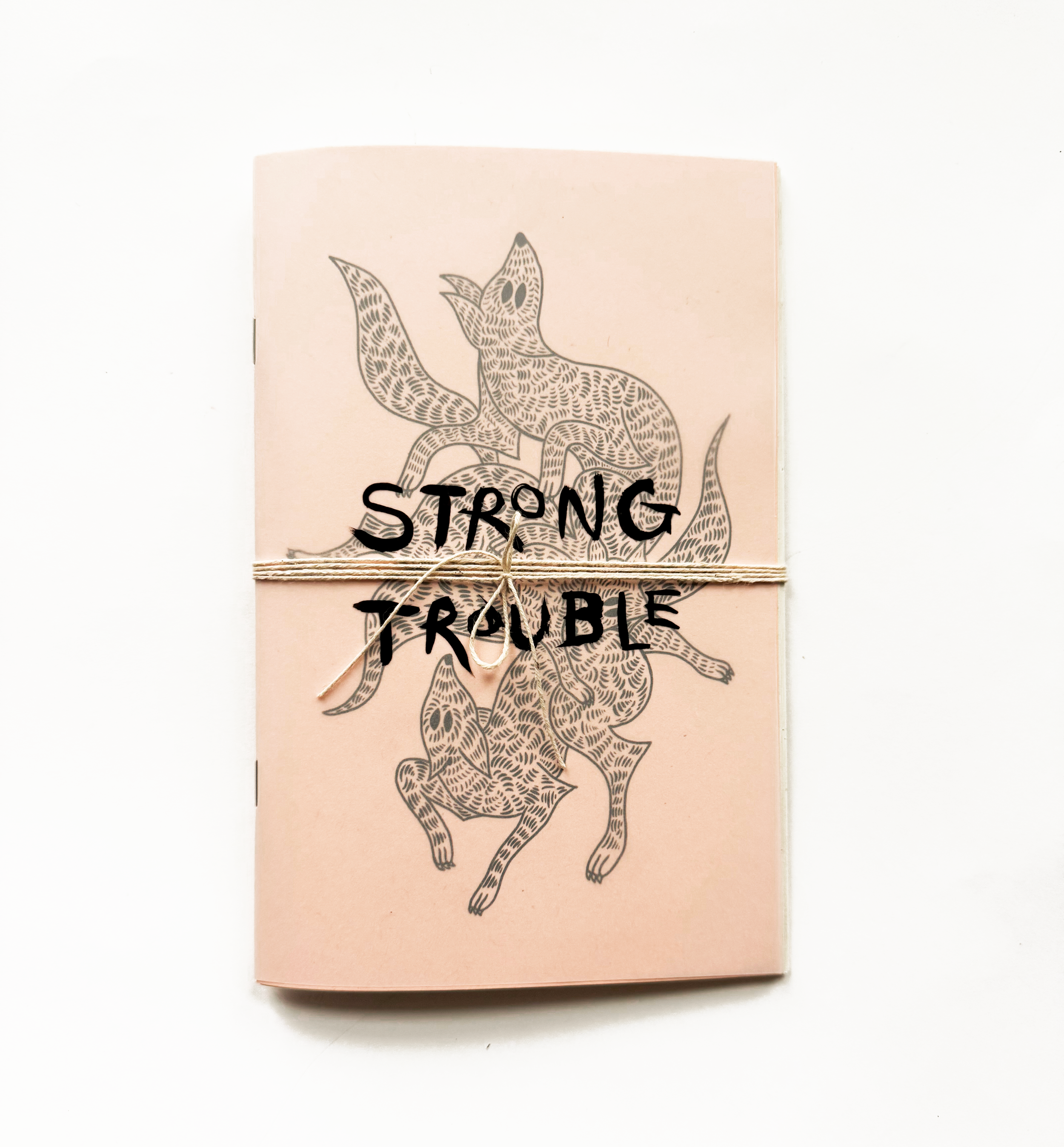 strong trouble zine - em randall.png