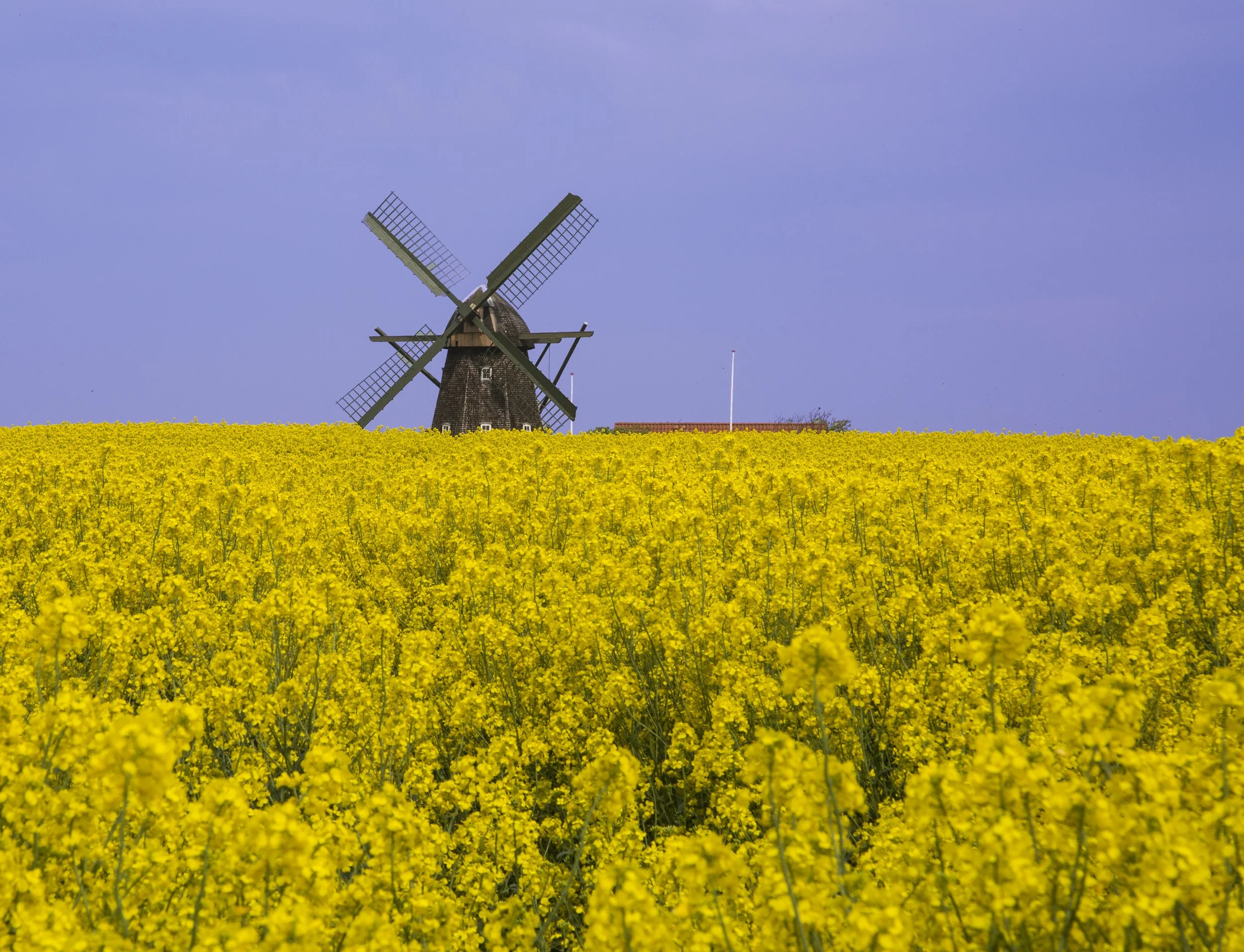 Møllens dag