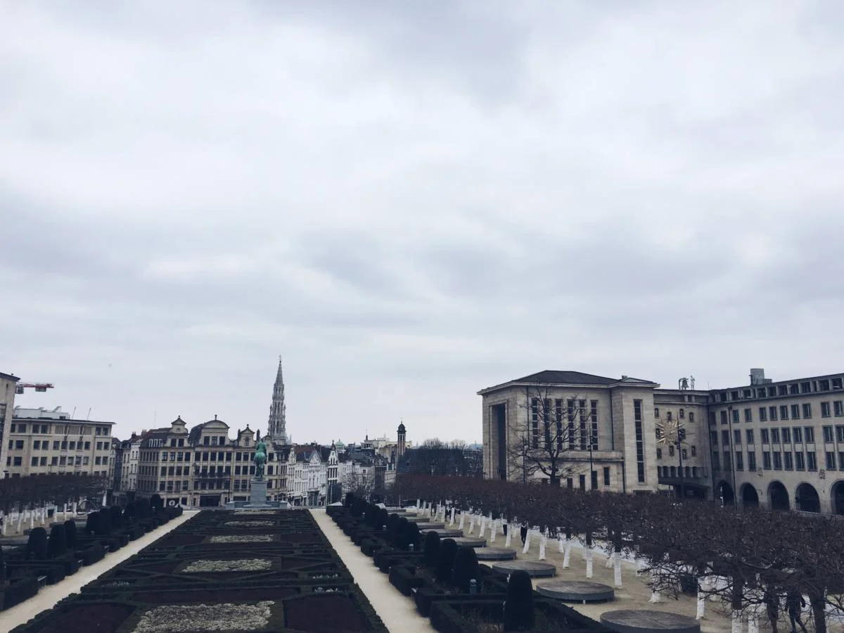 Number 36 facts visual data 8