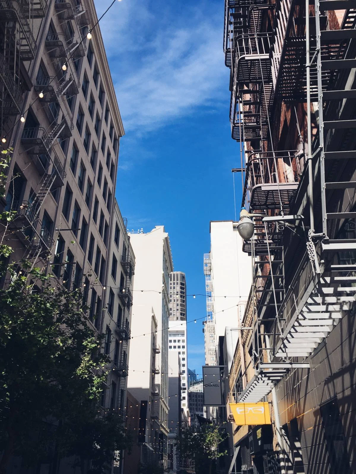 72 hours in san francisco