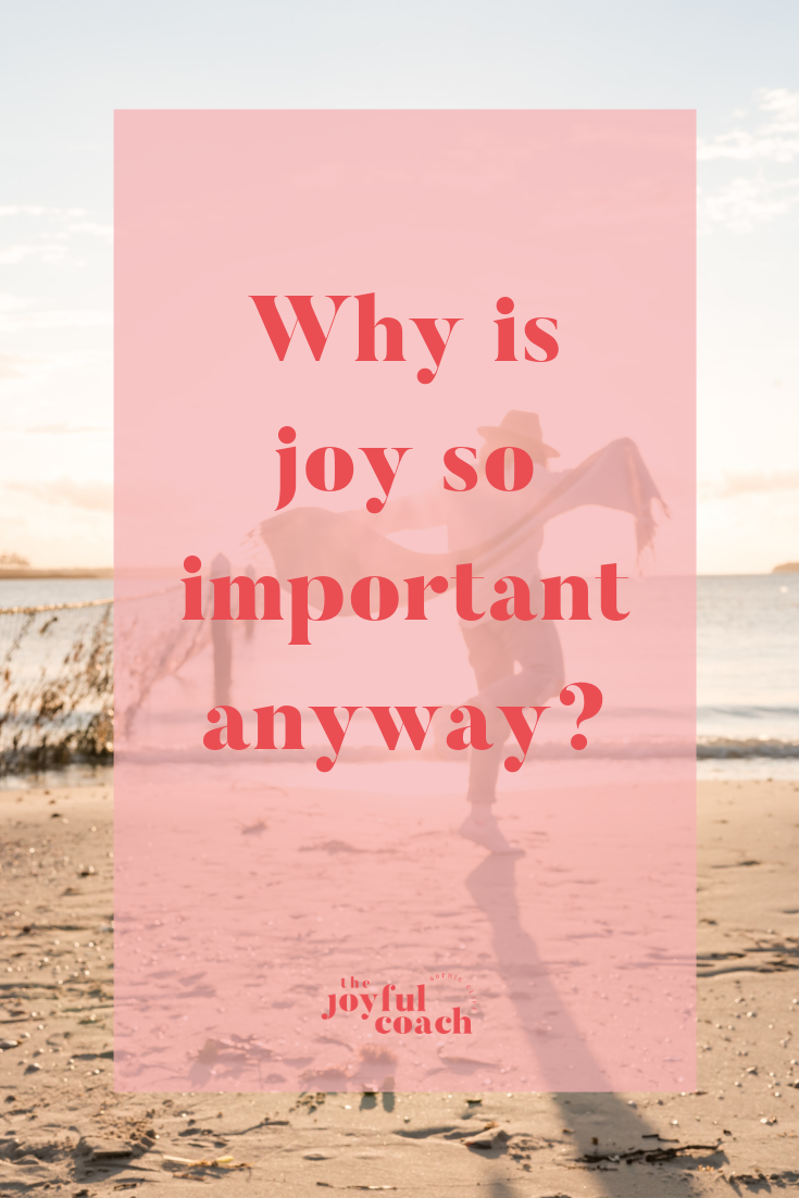 Why is joy so important anyway? — Sophie Cliff