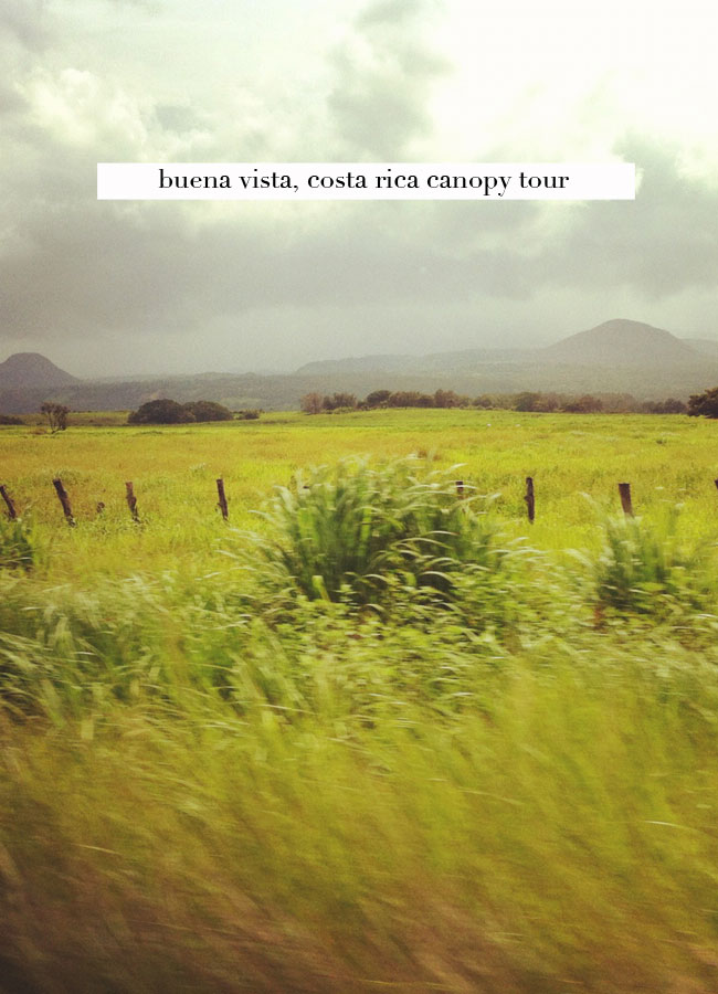 buena-vista.jpg