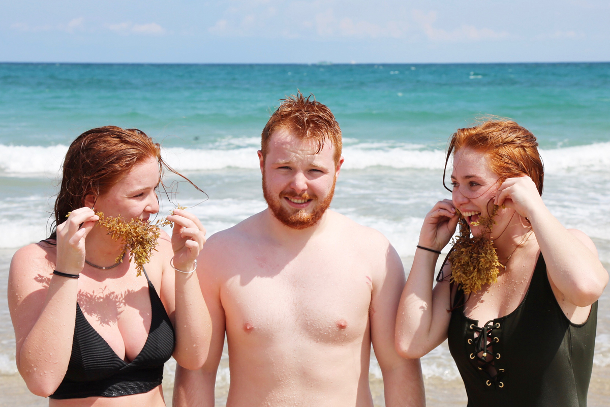 beards.jpg