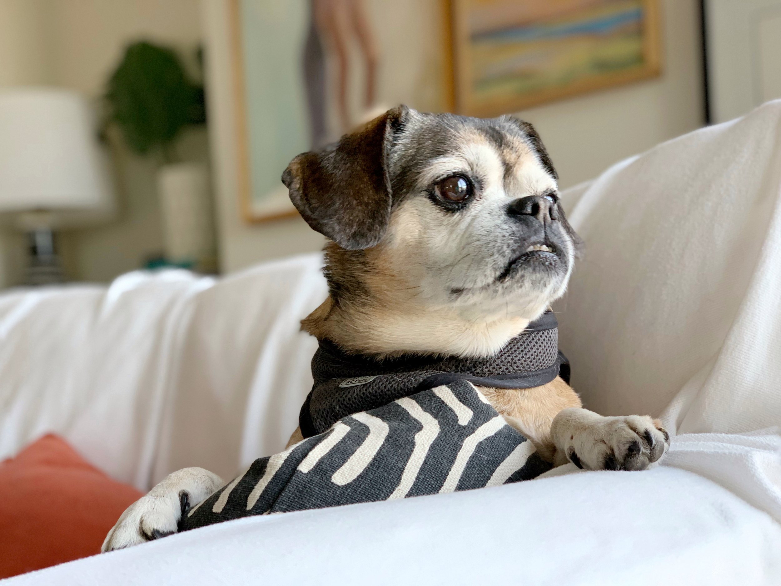 sweet fenway looking forward to the weekend.