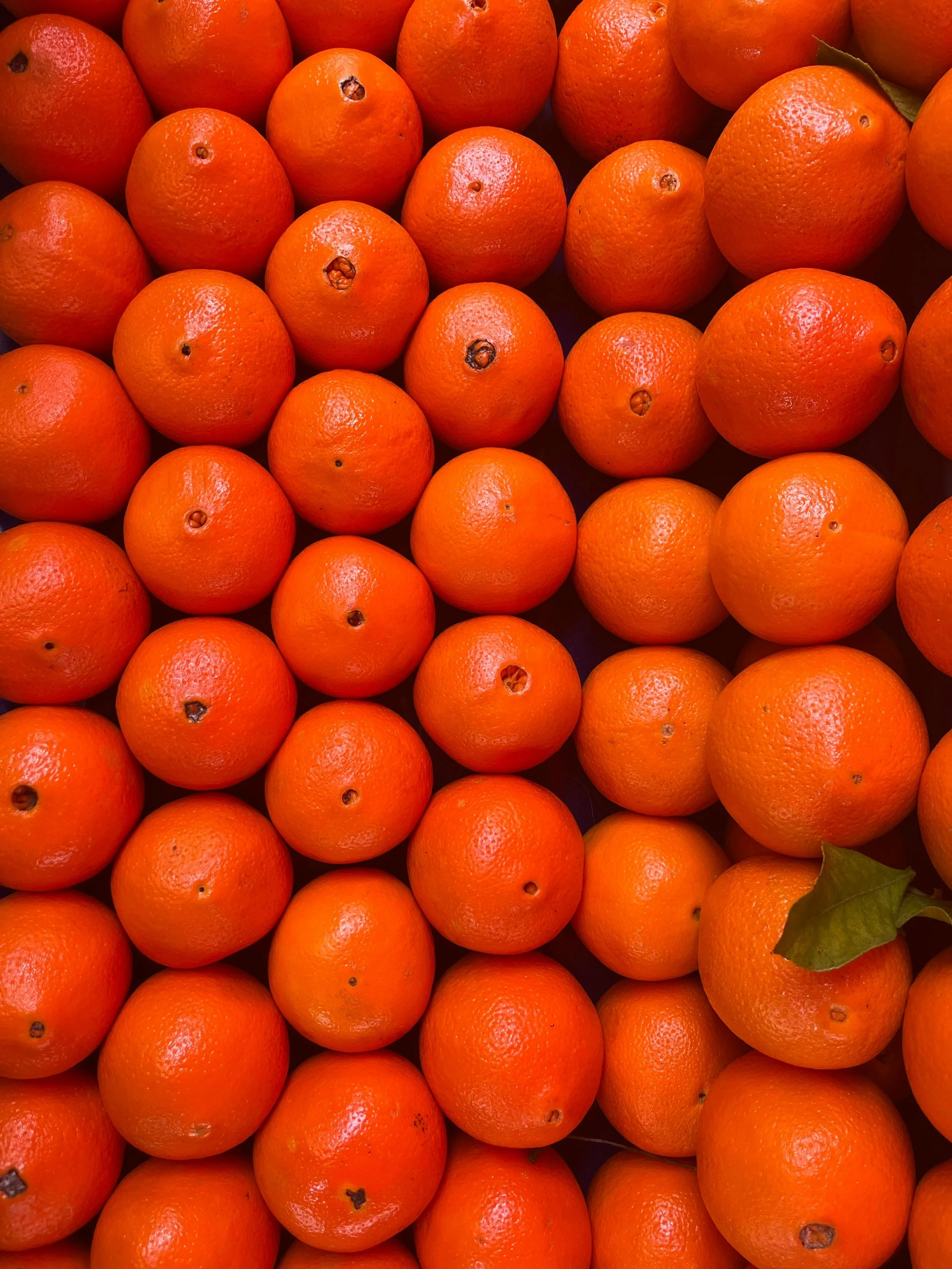 ORANGES, VEHICLE ASSEMBLY BUILDING