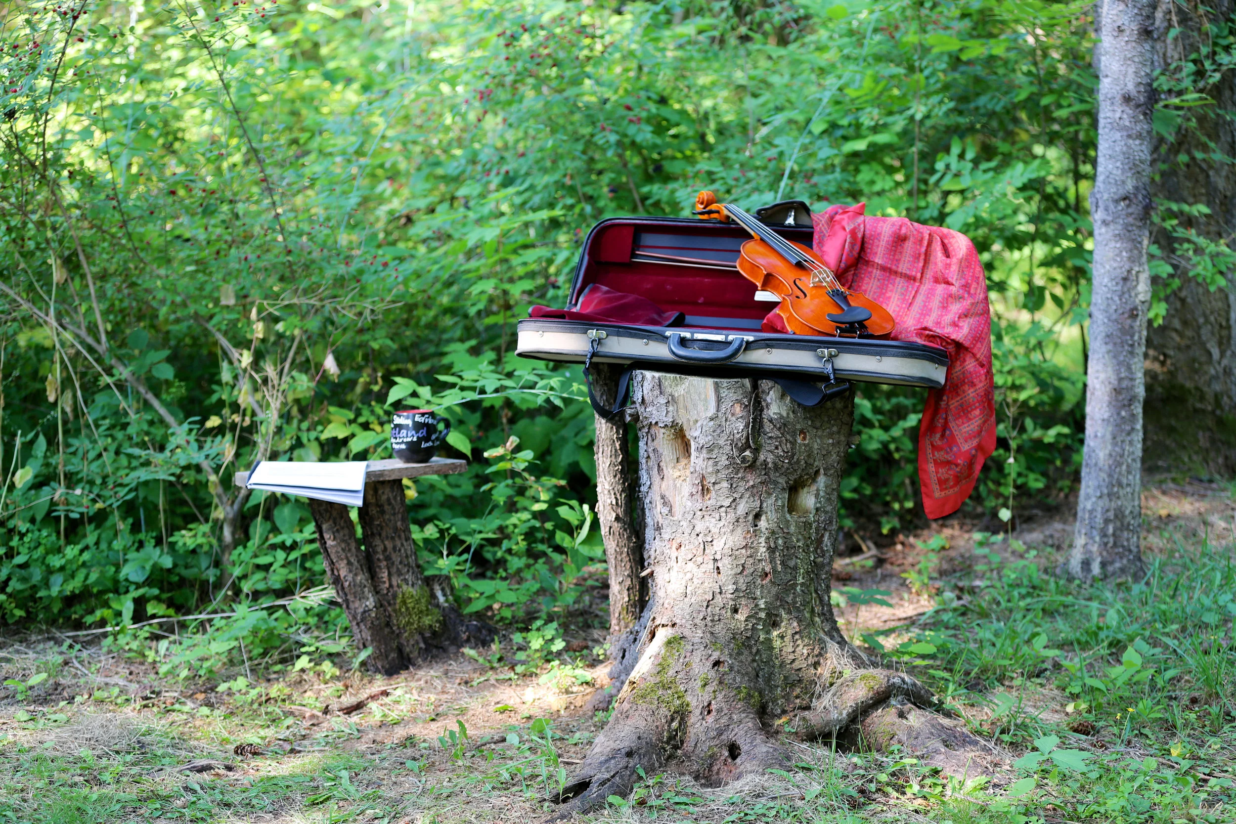 Violin case _.jpg