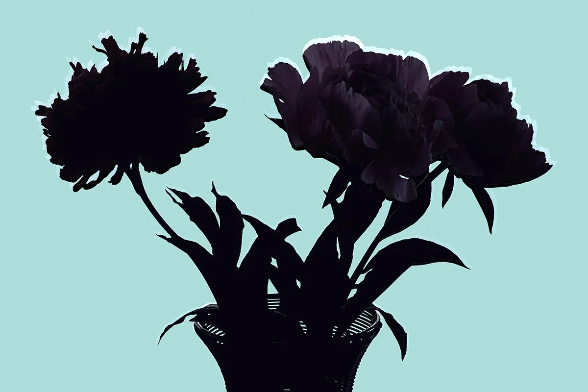 PeonyOnBlueSmall.jpg