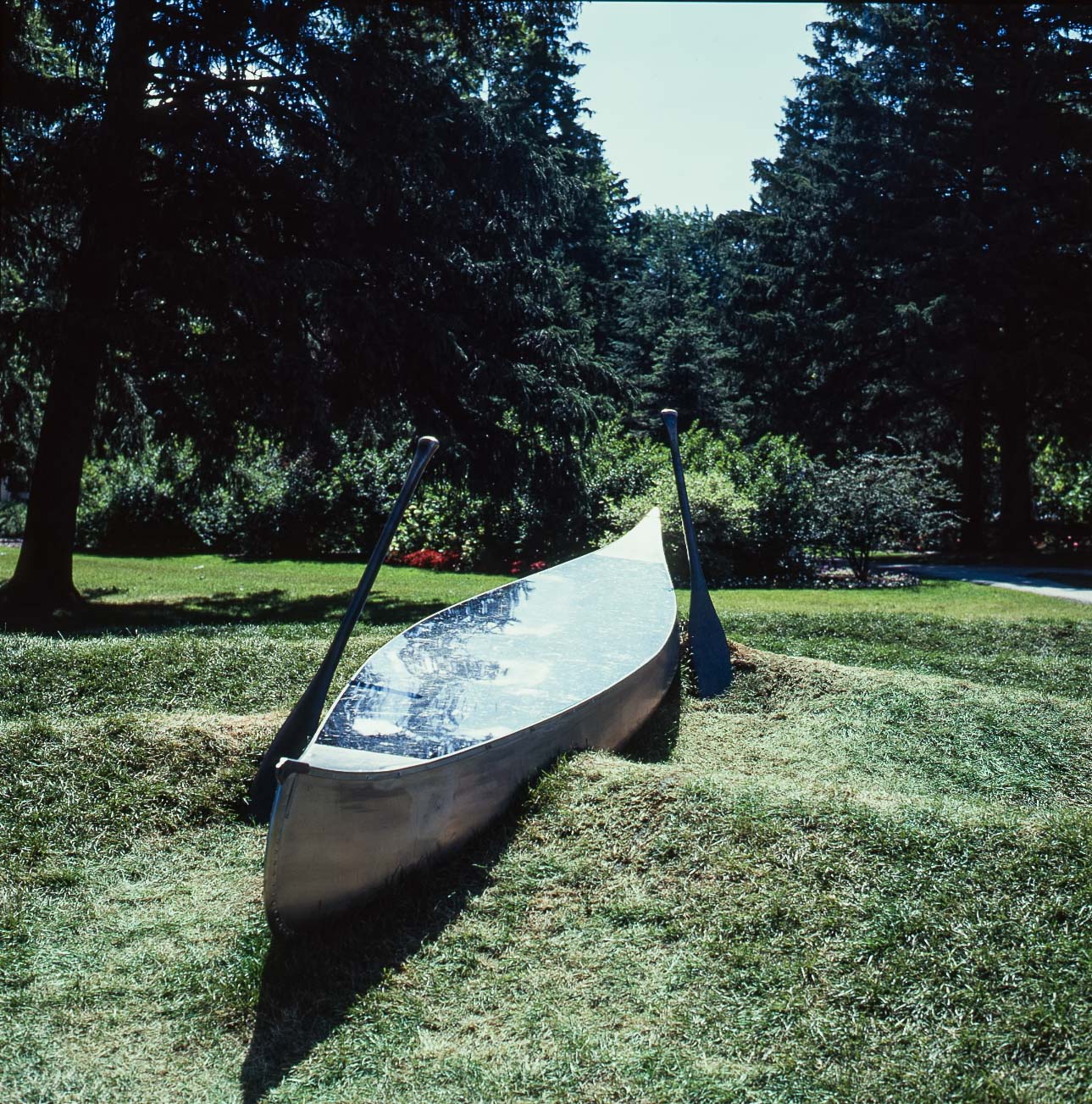 Stray Away  (the Canoe)
