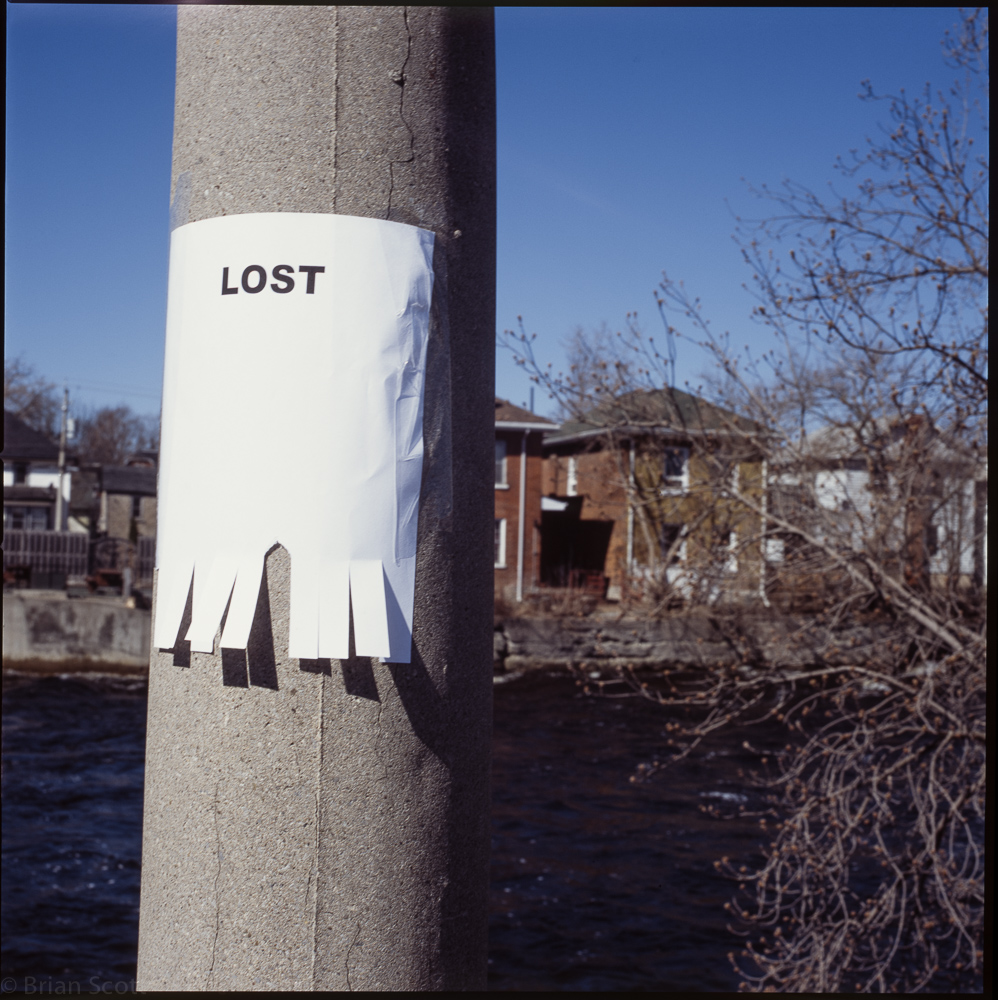 'Lost'  (2)
