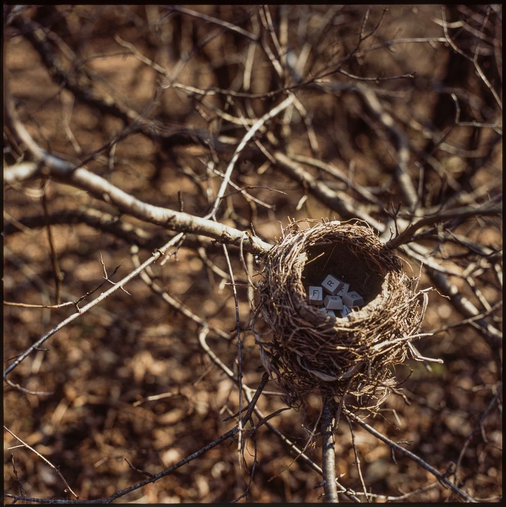 'Full Nest  (2)